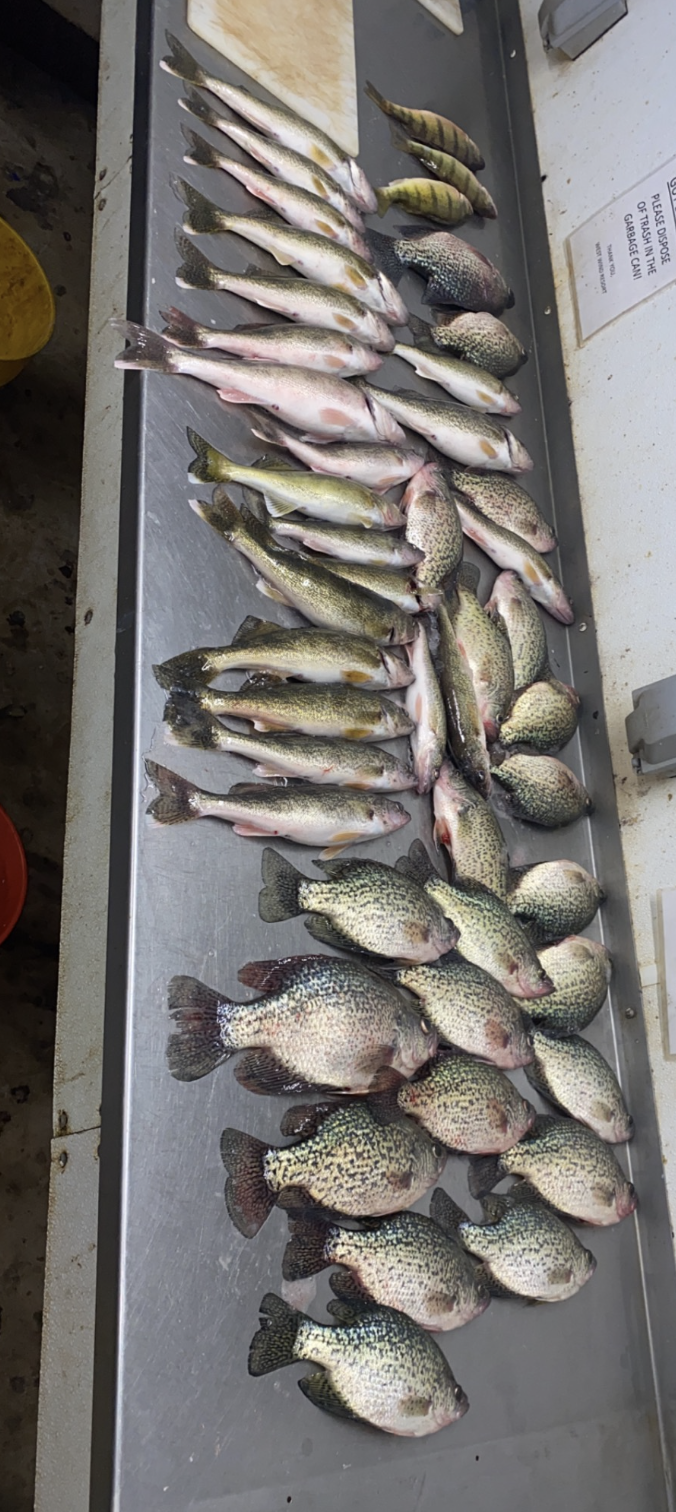 Screenshot 2026-01-18 at 8.08.59 PM.png