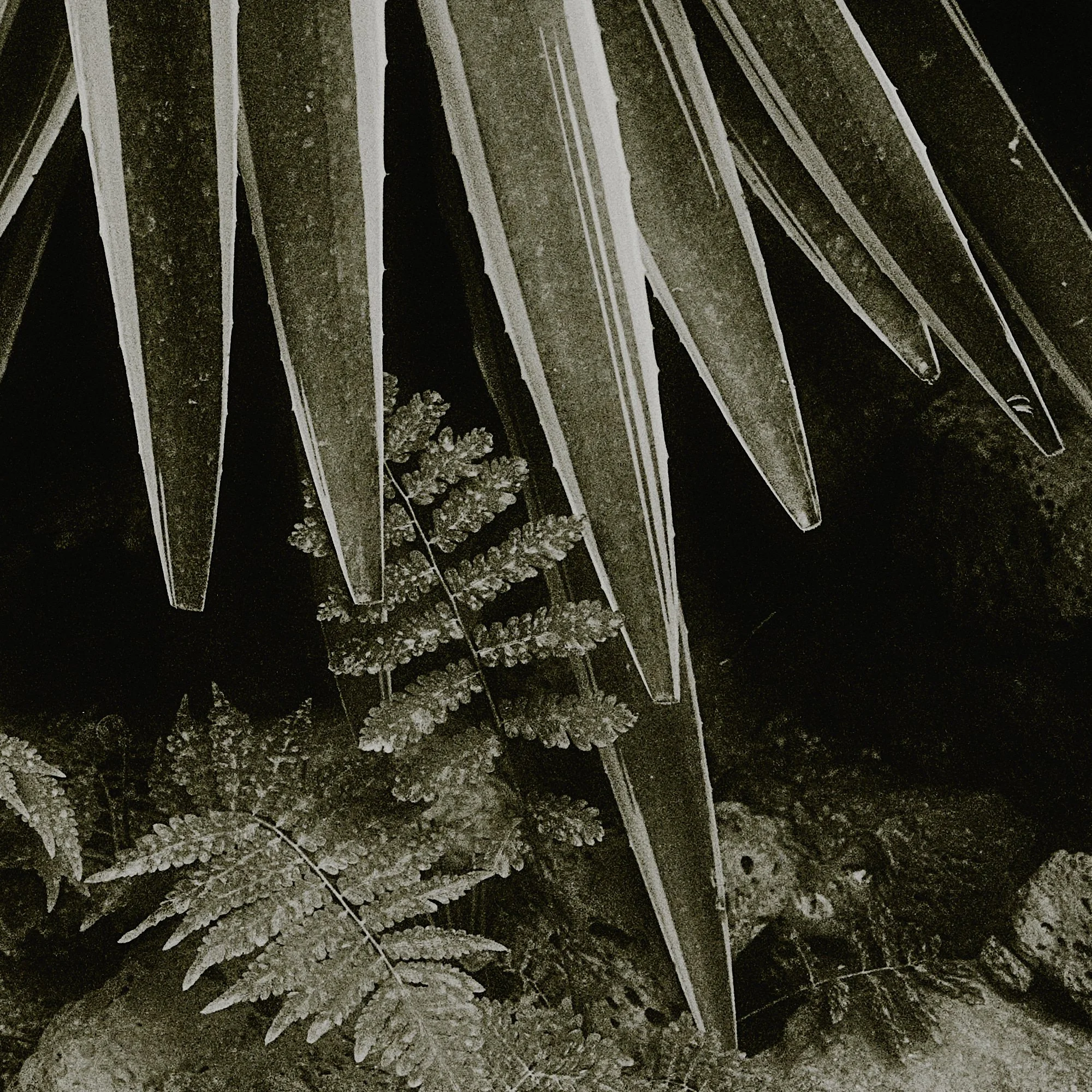 _DSC5035 복사본.jpg