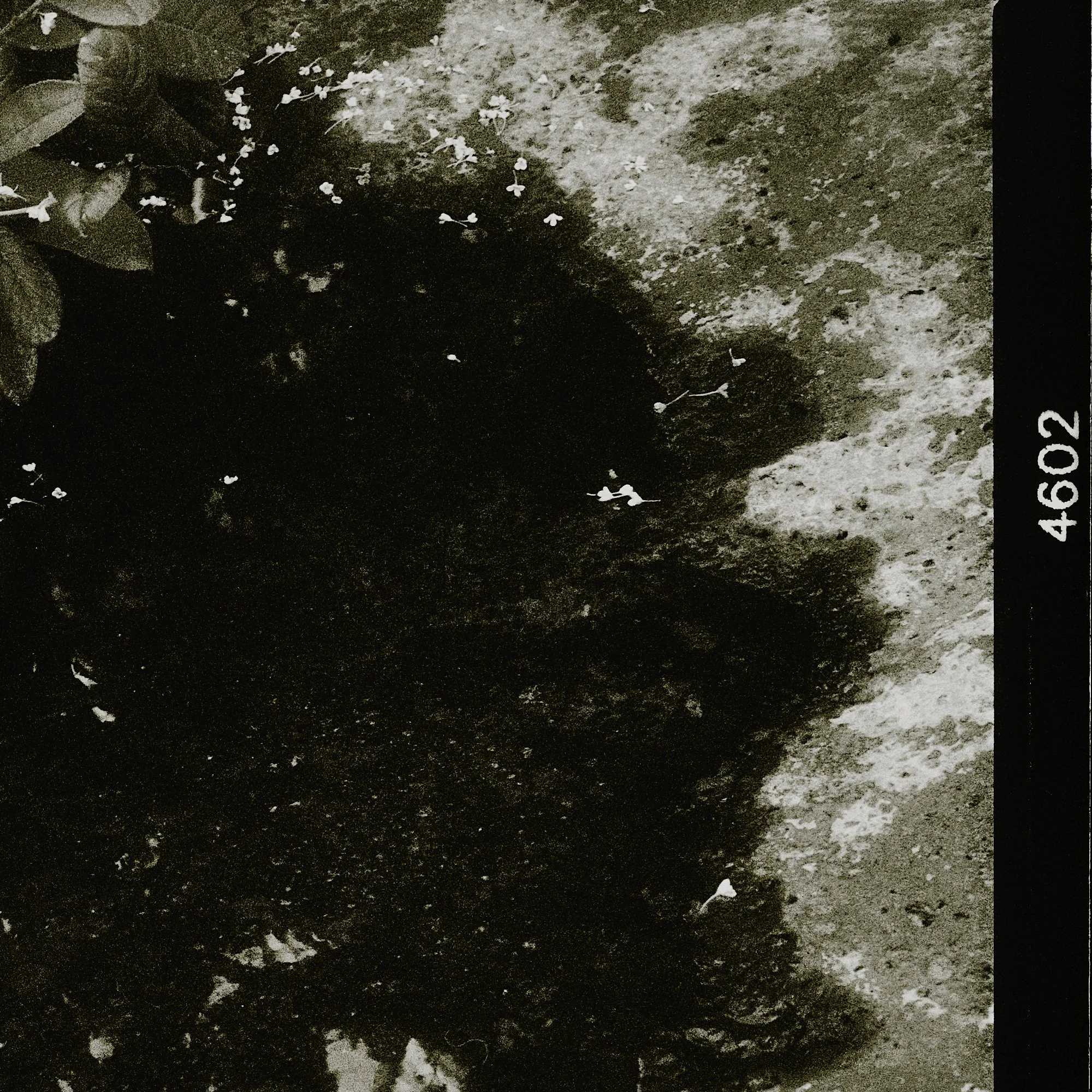 _DSC5033 복사본.jpg