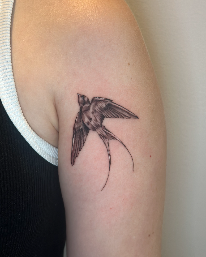 Screenshot 2026-04-04 at 2.18.51 pm.png