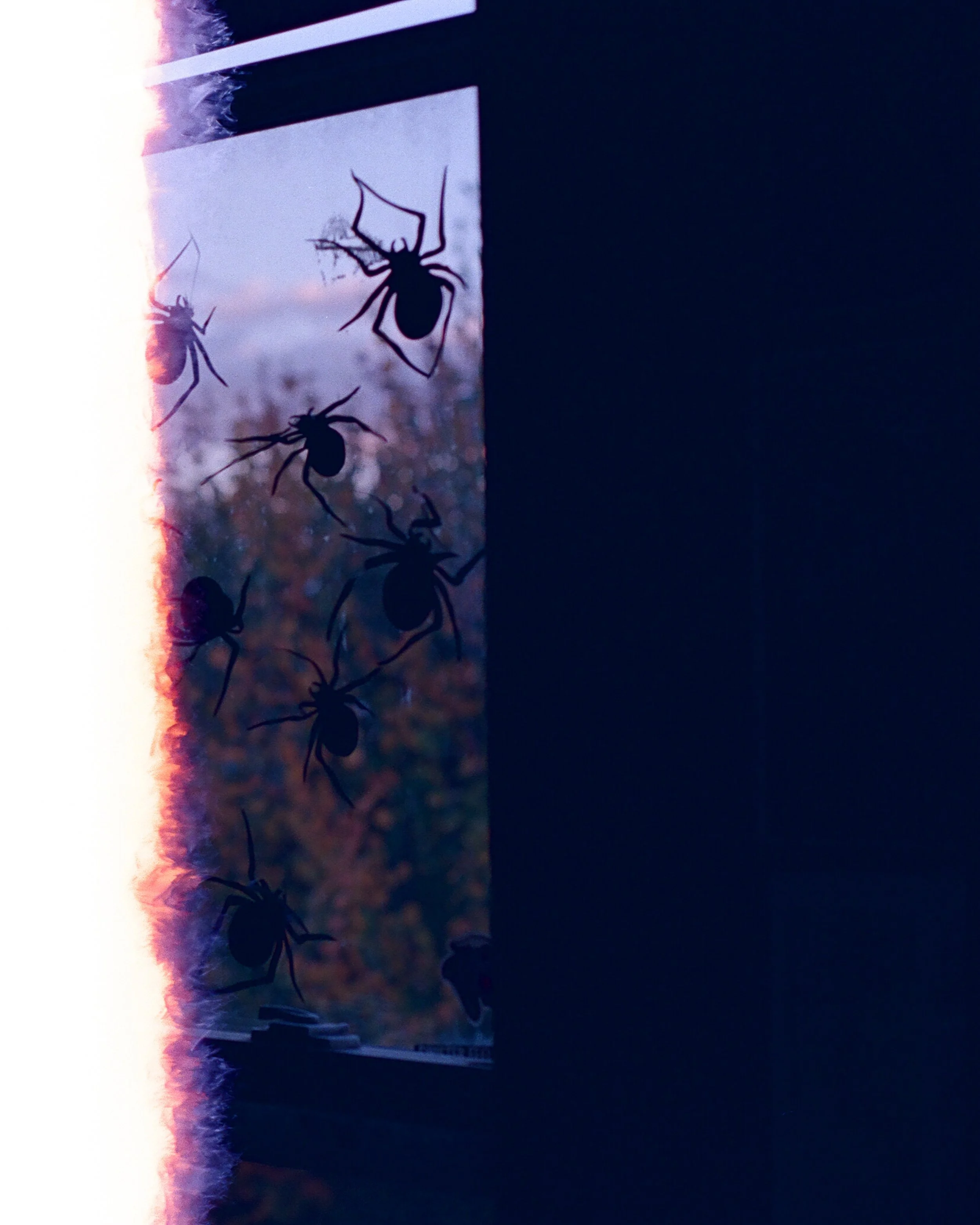 Photography By: Kiirstn Pagan