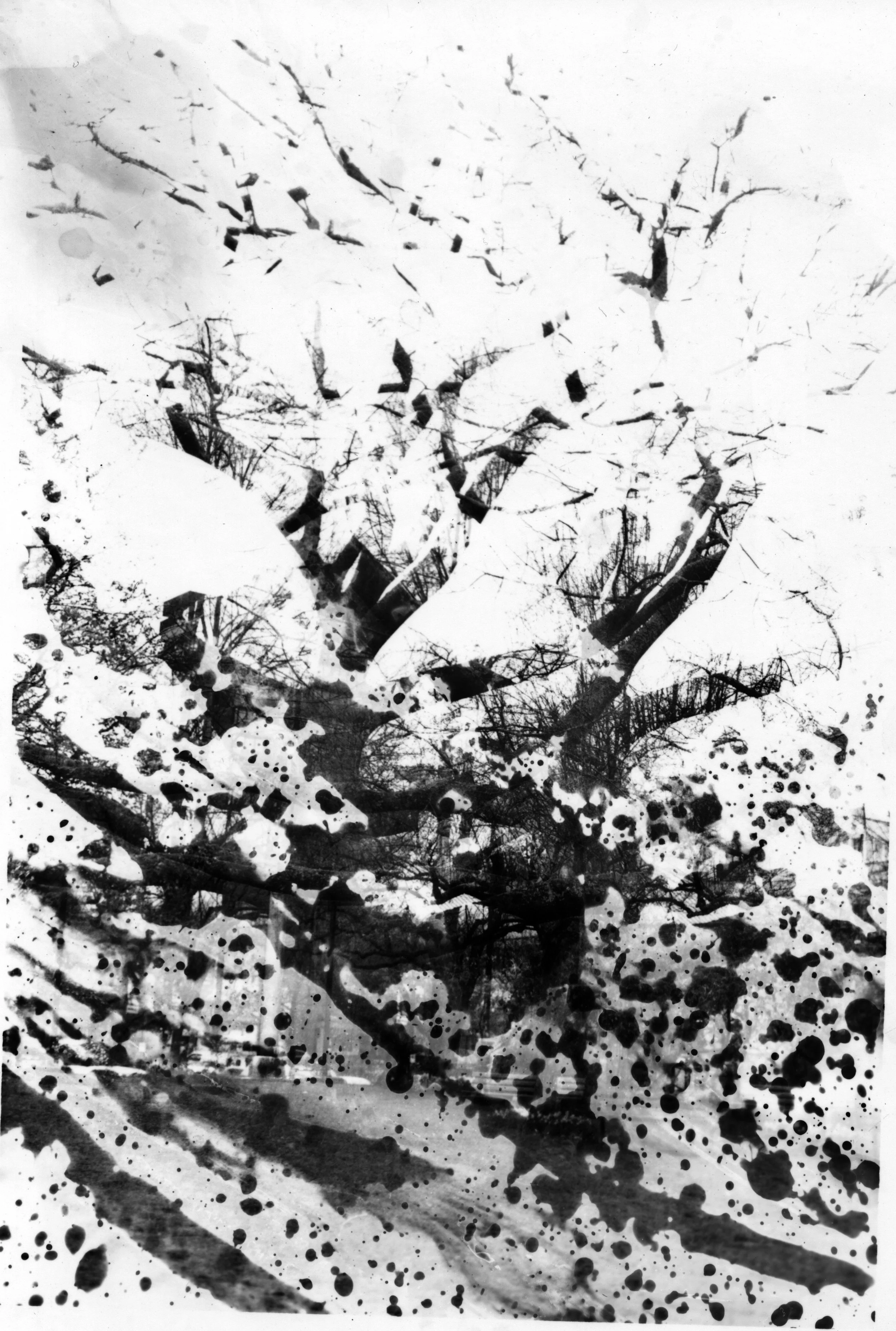  Untitled  Painted on 5x7 Silver Gelatine Print 