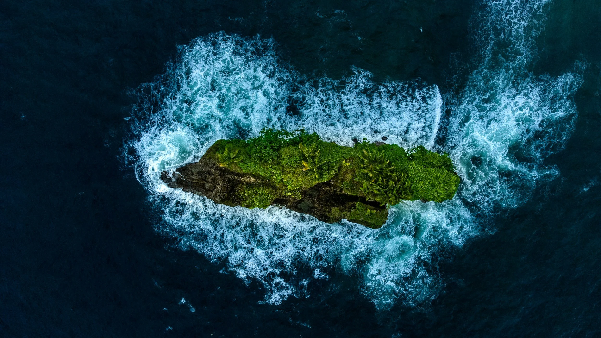 How My Body is Responding to What’s Happening