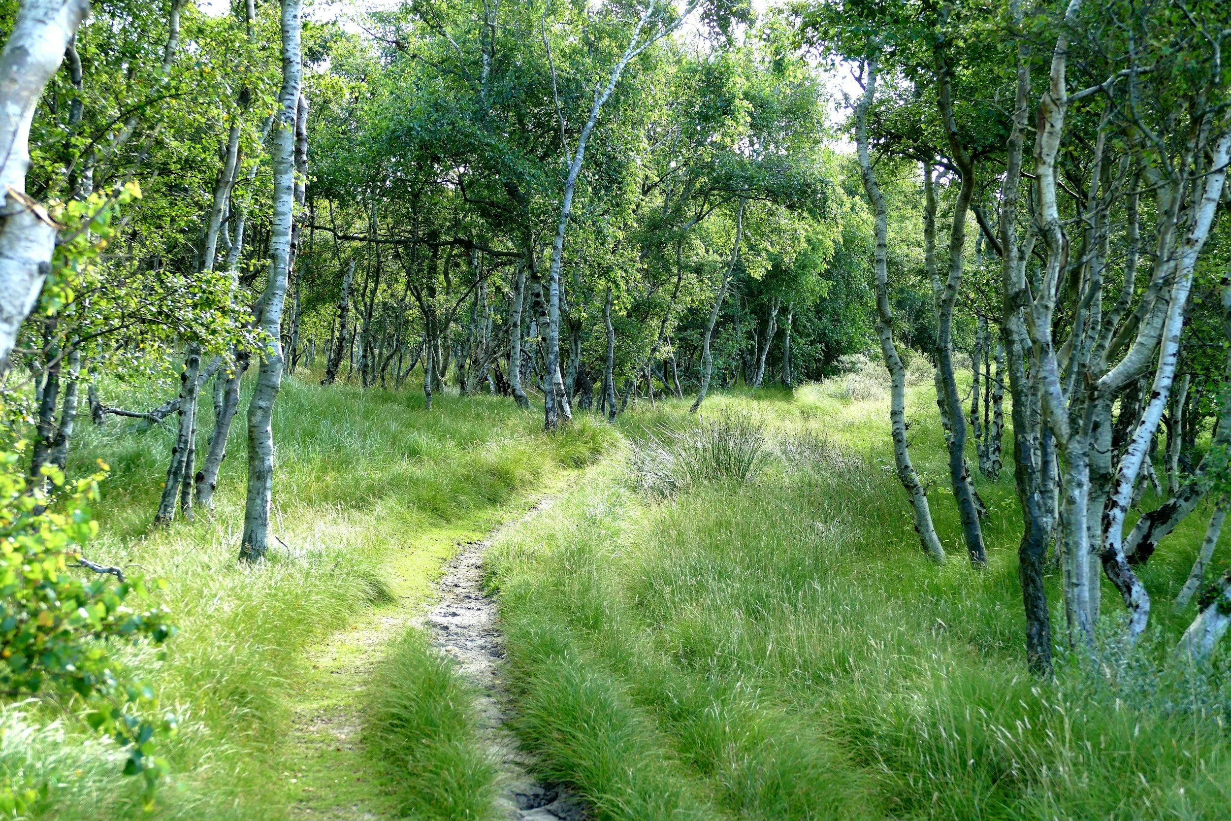 This, Too, is Protest