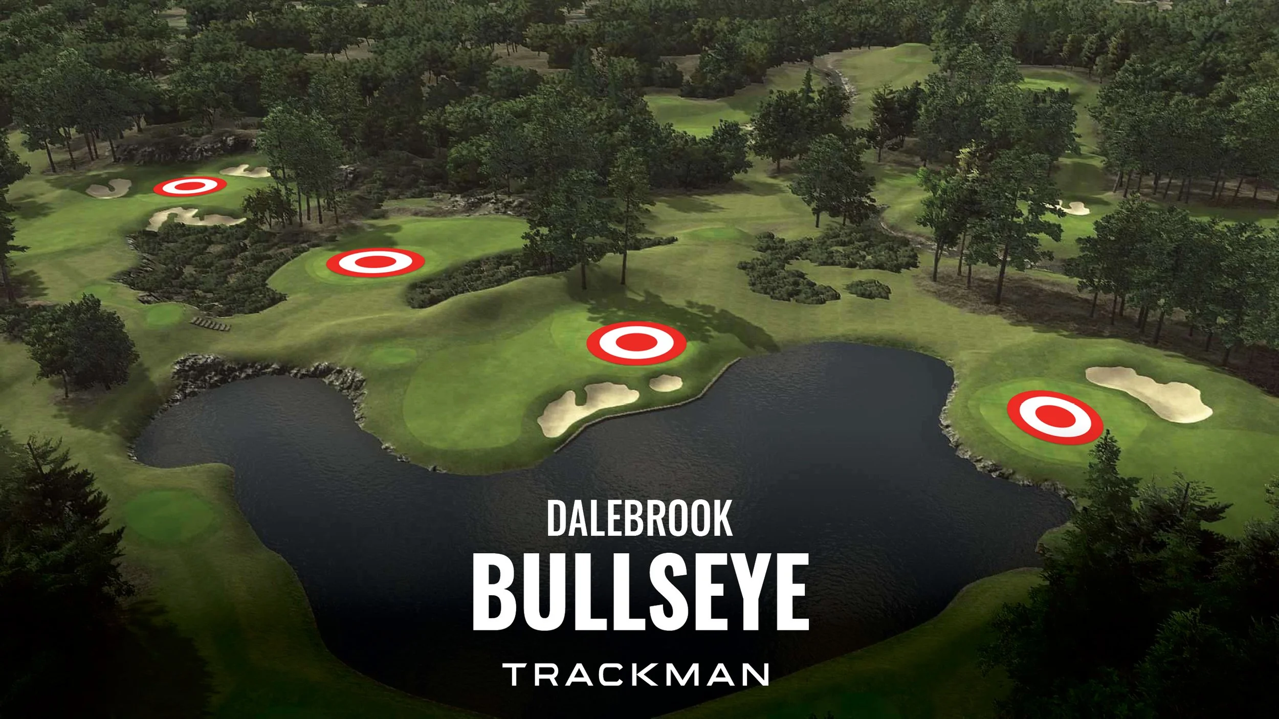 BULLSEYE_DALEBROOK_1920x1080px17.jpg
