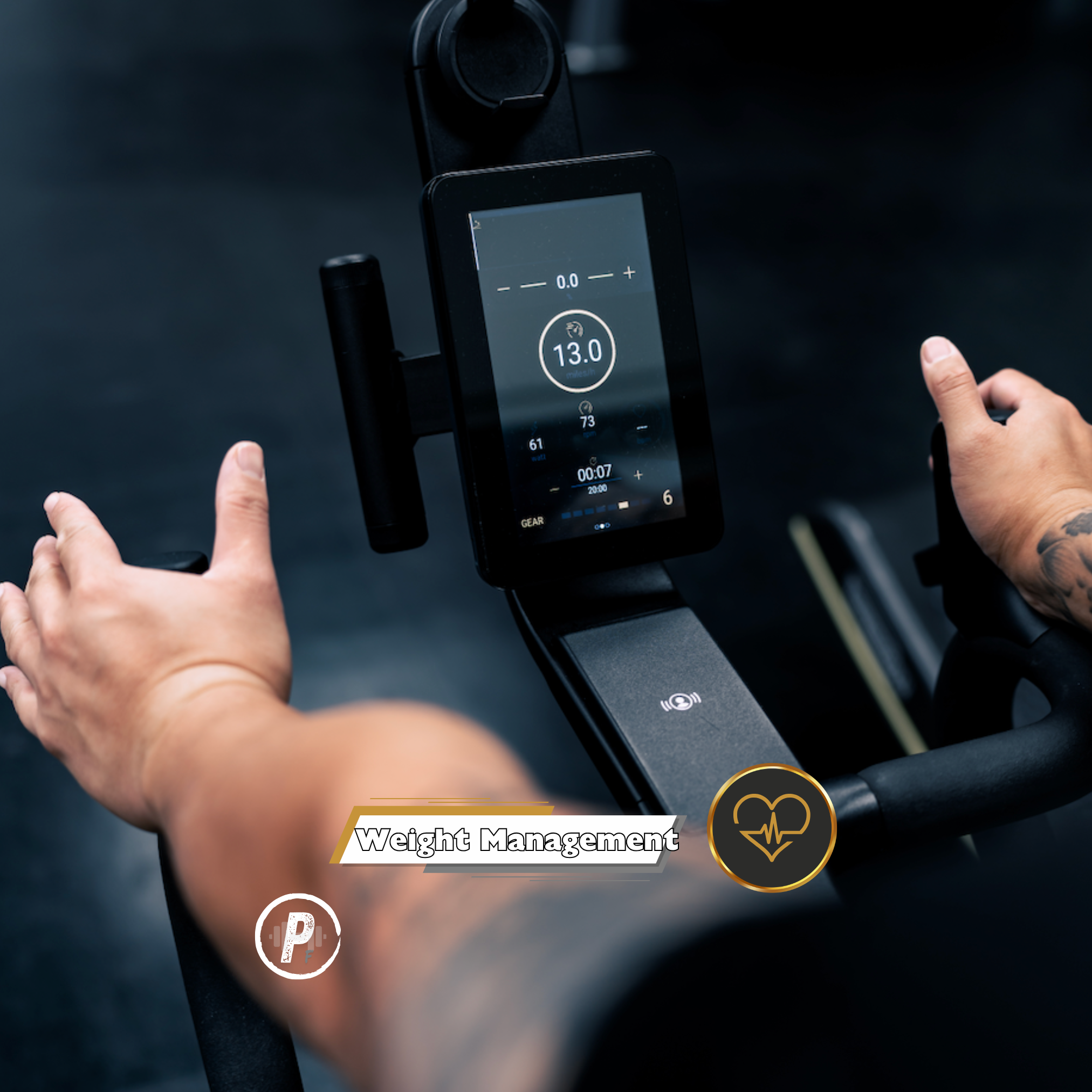 Prime Fitness - Weight Management