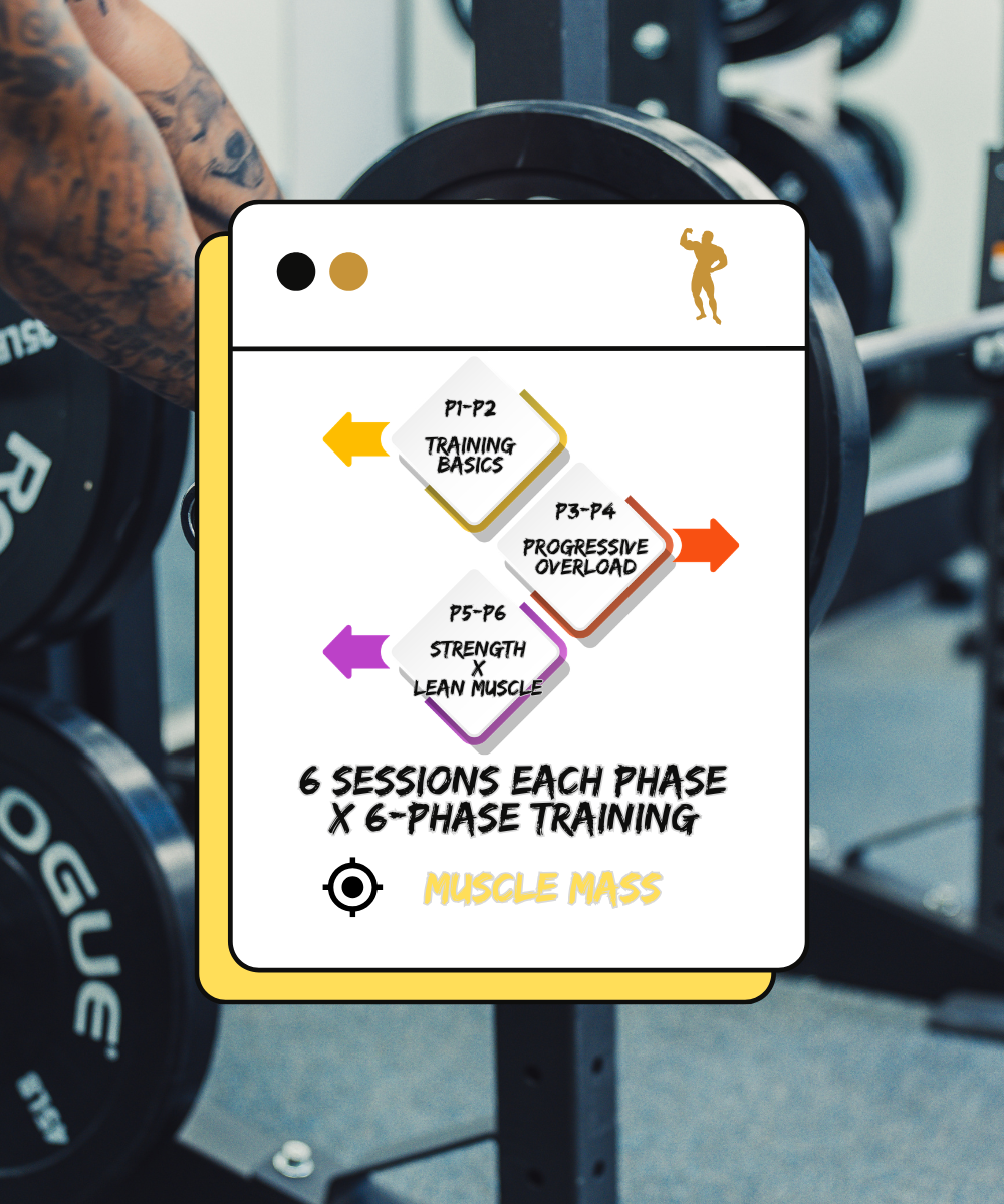 Personal session pack targets at build muscle mass, body definition and achieve a more muscular physique, as well as build strength and anaerobic endurance.