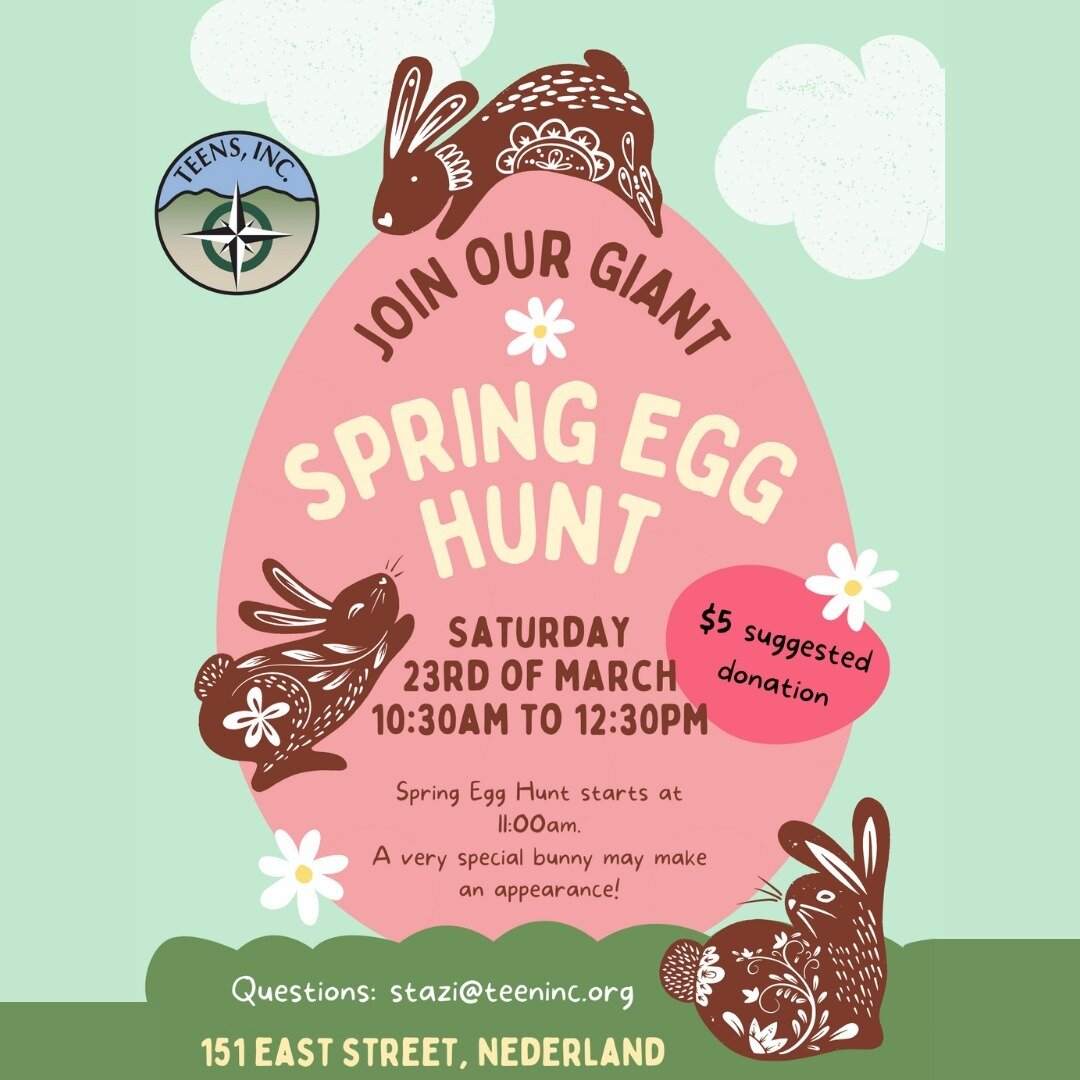 Today's the day! Help us find our lost eggs!