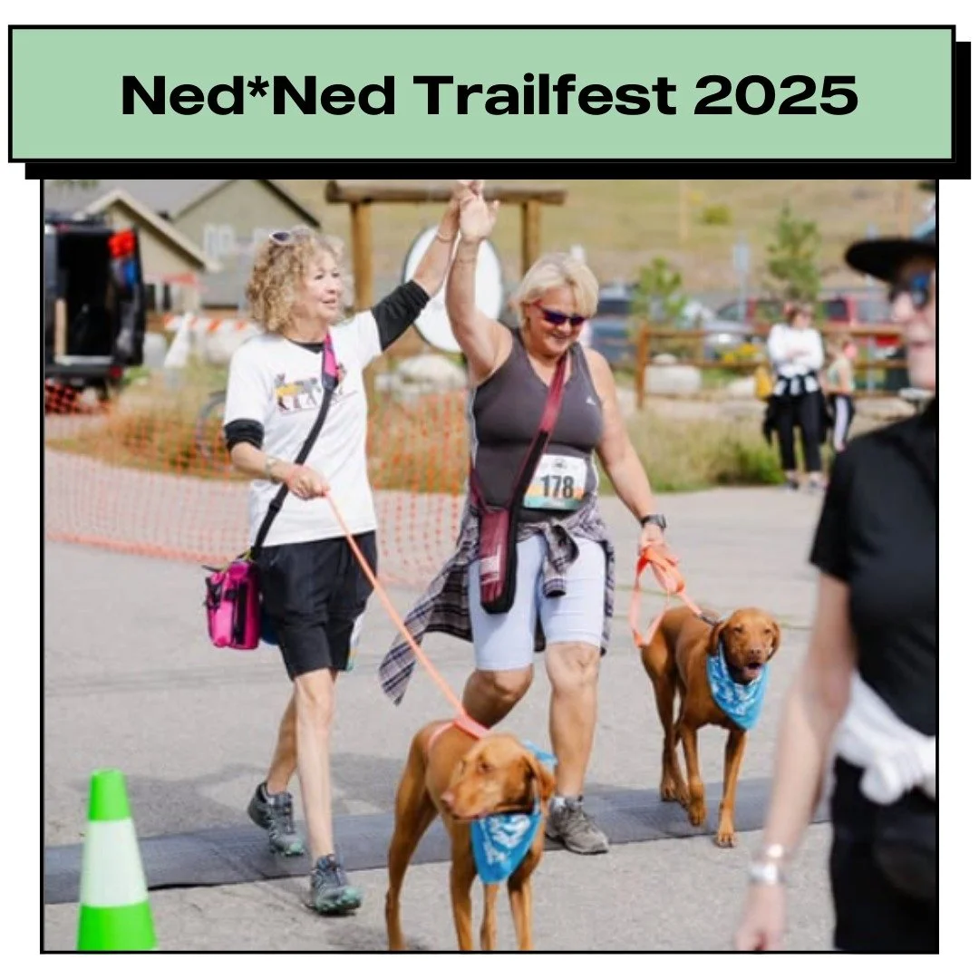 🌲🏃&zwj;♀️ Volunteer for the @nednedrace Trailfest! 🏃&zwj;♂️🌲

Join us on Saturday, September 13 for Nederland&rsquo;s iconic mountain race &mdash; the 5K, 10K, and Marathon routes wind through some of the most stunning trails in Colorado.

We&rsq