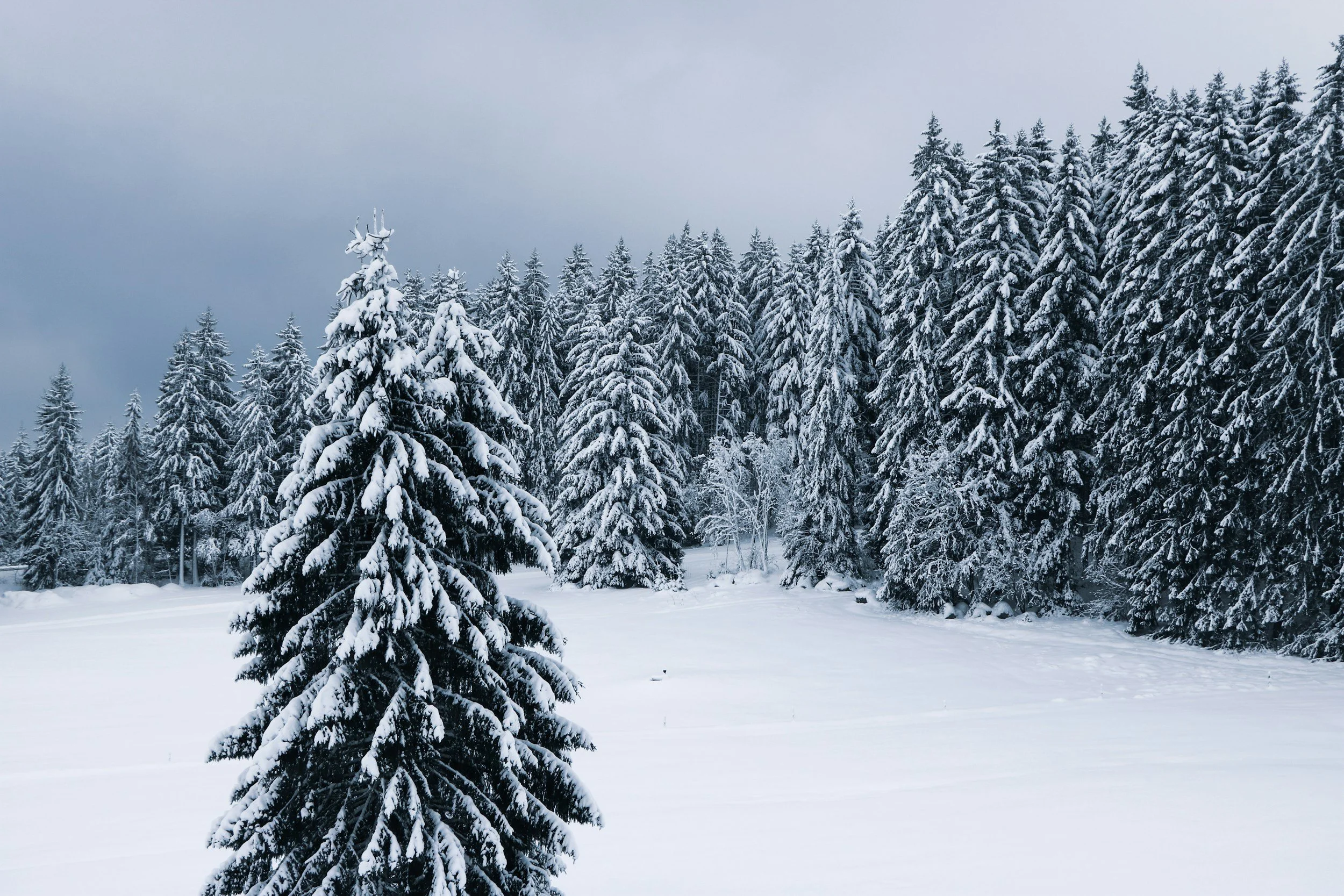 Winter Wonderland Party &amp; More December Teen Center Events