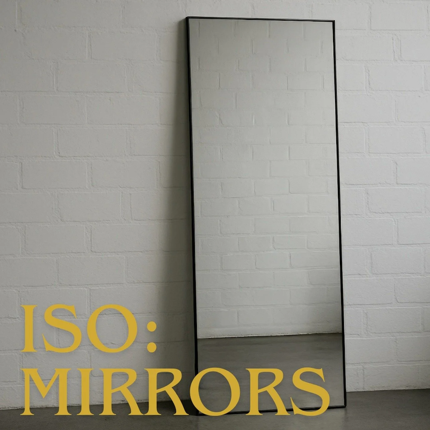 Chinook West High School is launching a new student-led hip-hop dance class, and we&rsquo;re looking to borrow or receive large, full-length mirrors for our gym space.

If you have mirrors you&rsquo;re willing to lend or donate (full-length or larger