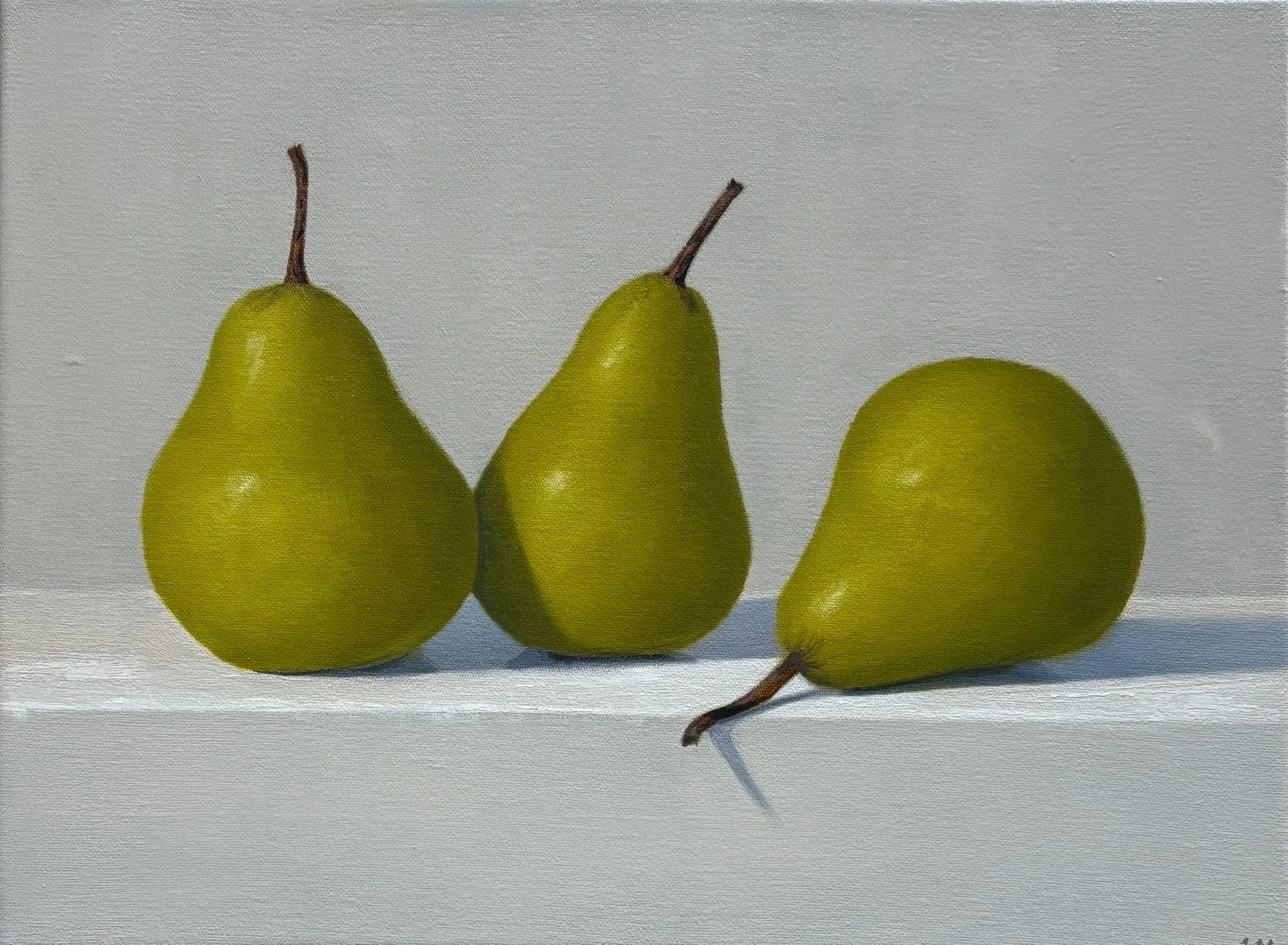 
'Just Resting' Paper Pear Wagga Wagga NSW