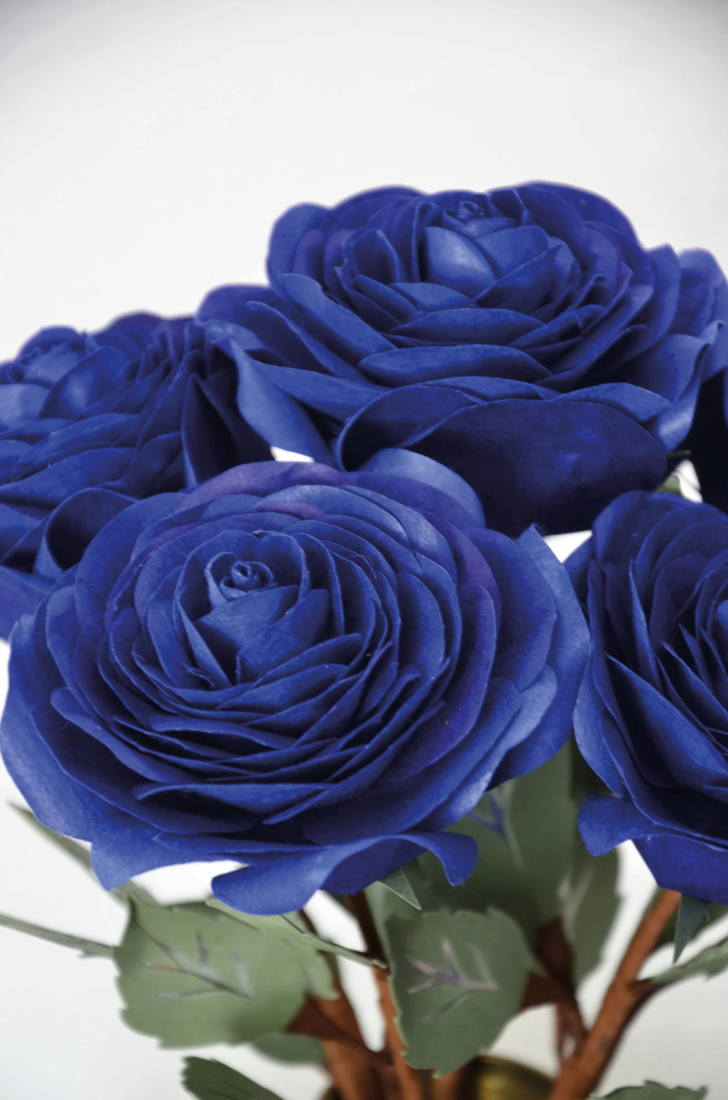 E_Rose-Bleu-Roy.JPG