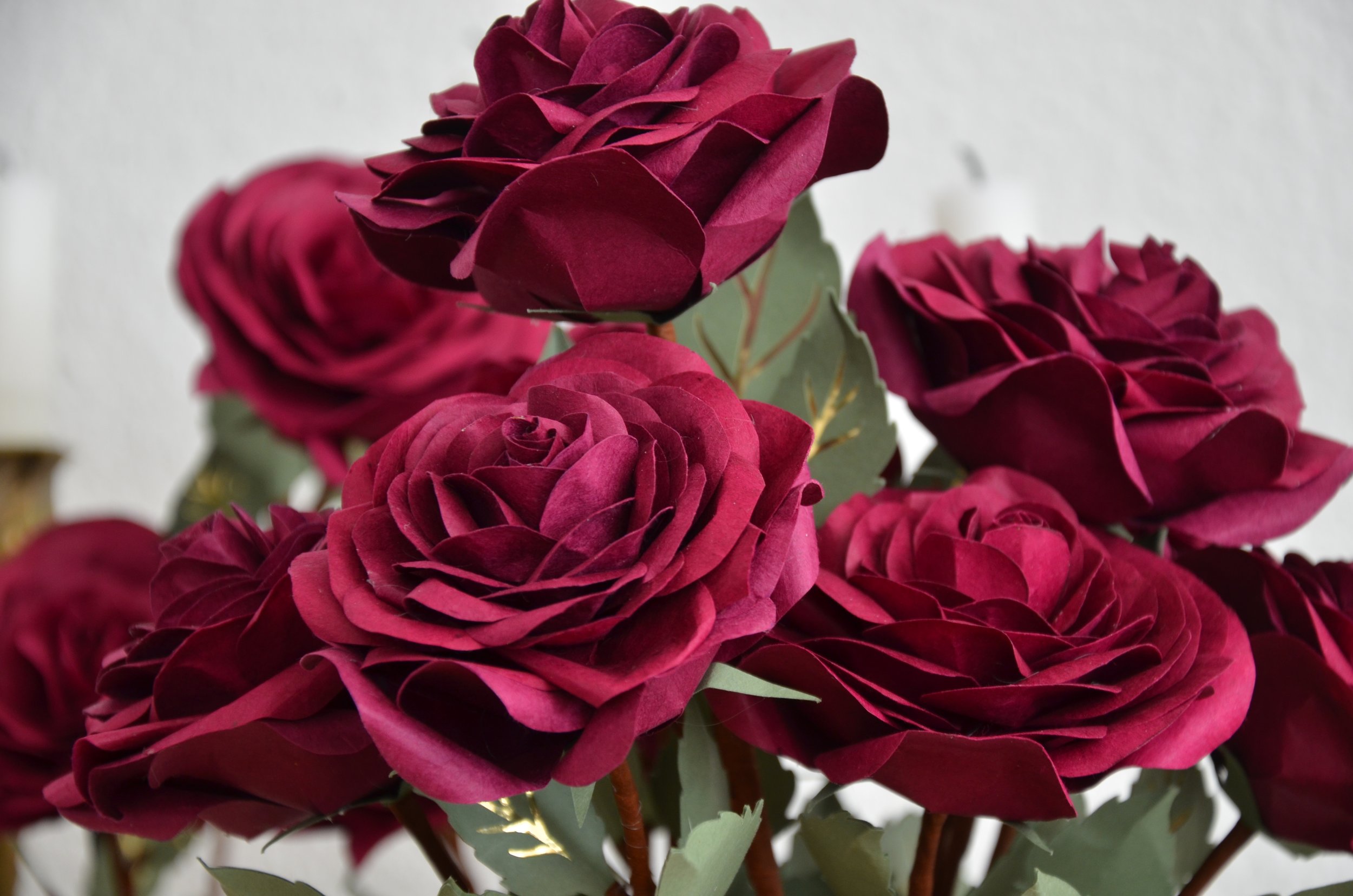 Roses de Trianon