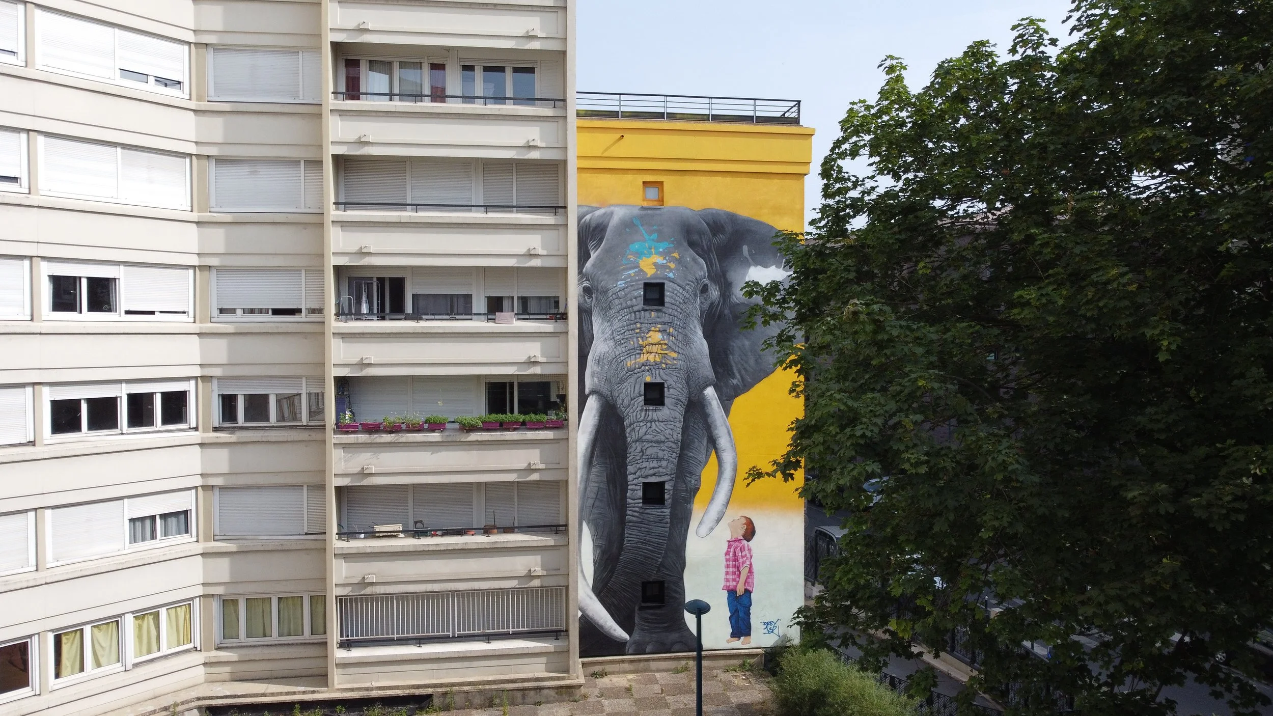 L’enfant et l’éléphant.