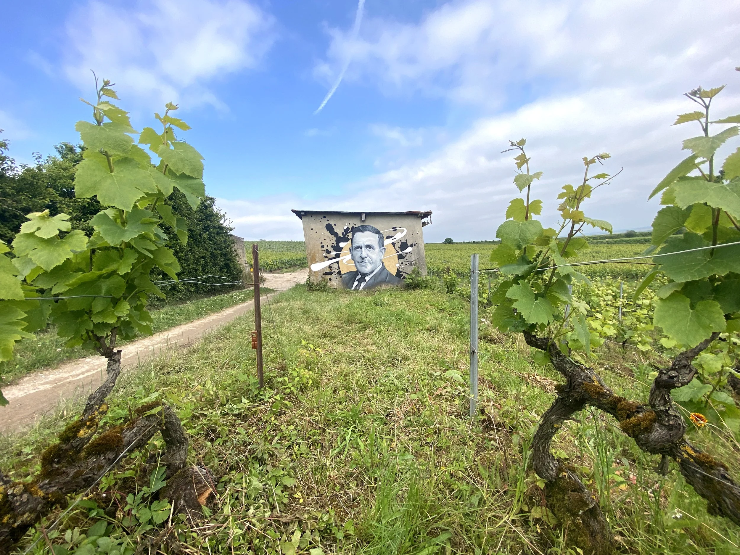 Champagne Edouard Martin