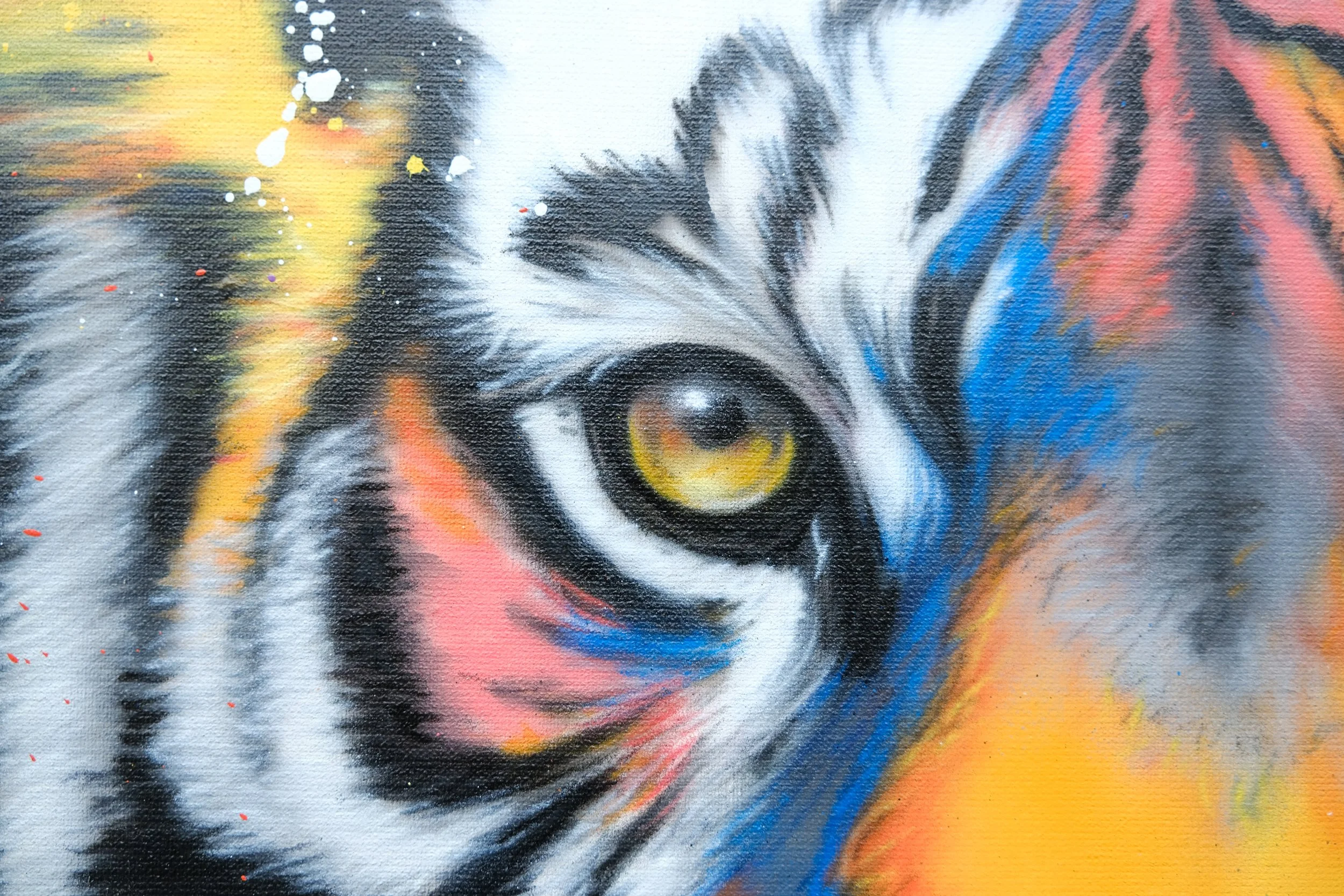 CREY132_COLOR_TIGER_detail.jpg