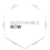 Sustainable+now.png