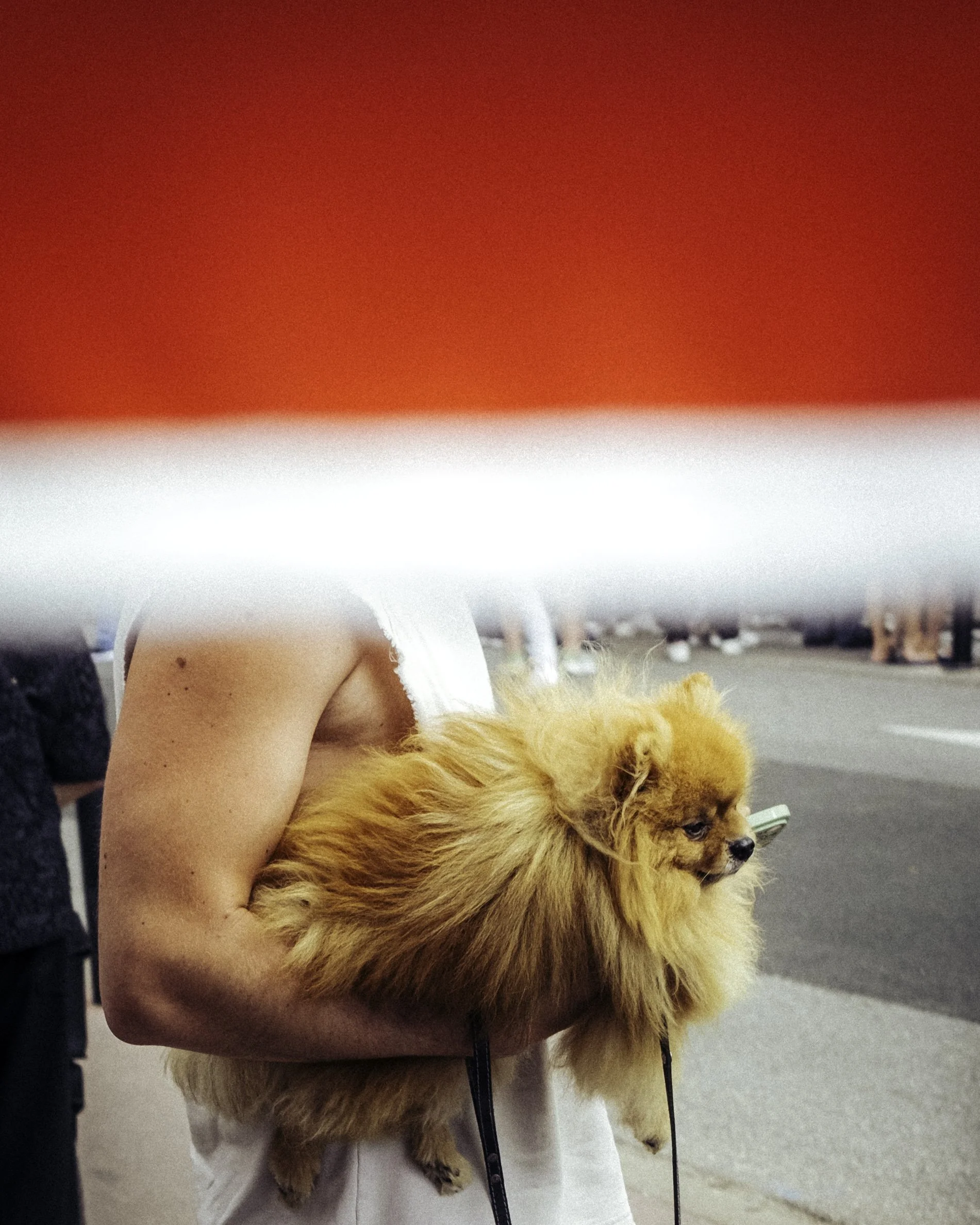 DSCF4215 @charleshemon.jpg
