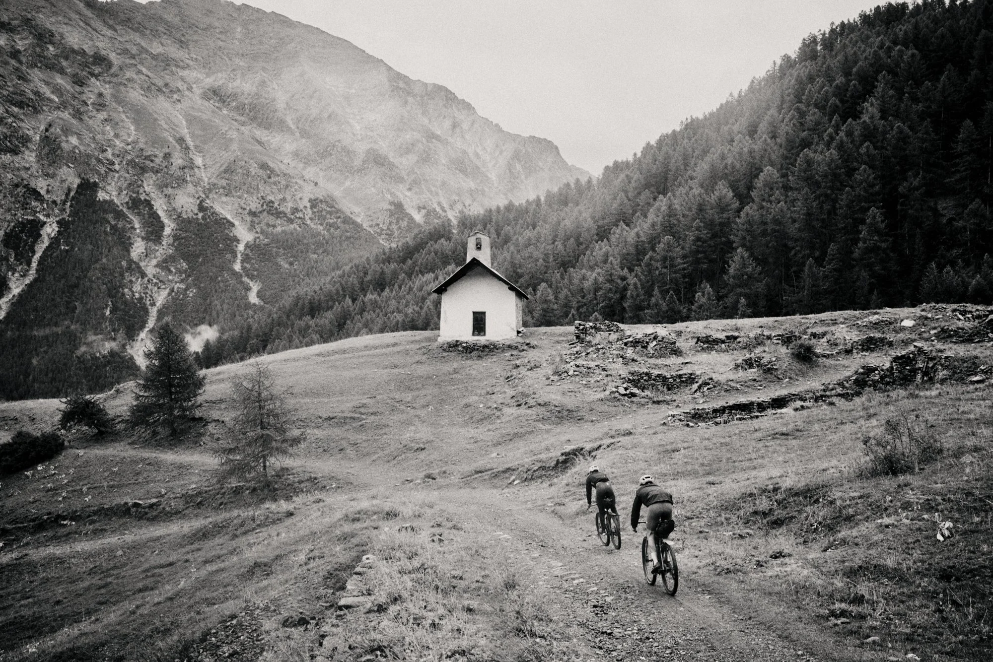 Le Pilgrimage 2026 - Yorit Kluitman-4-5.jpg