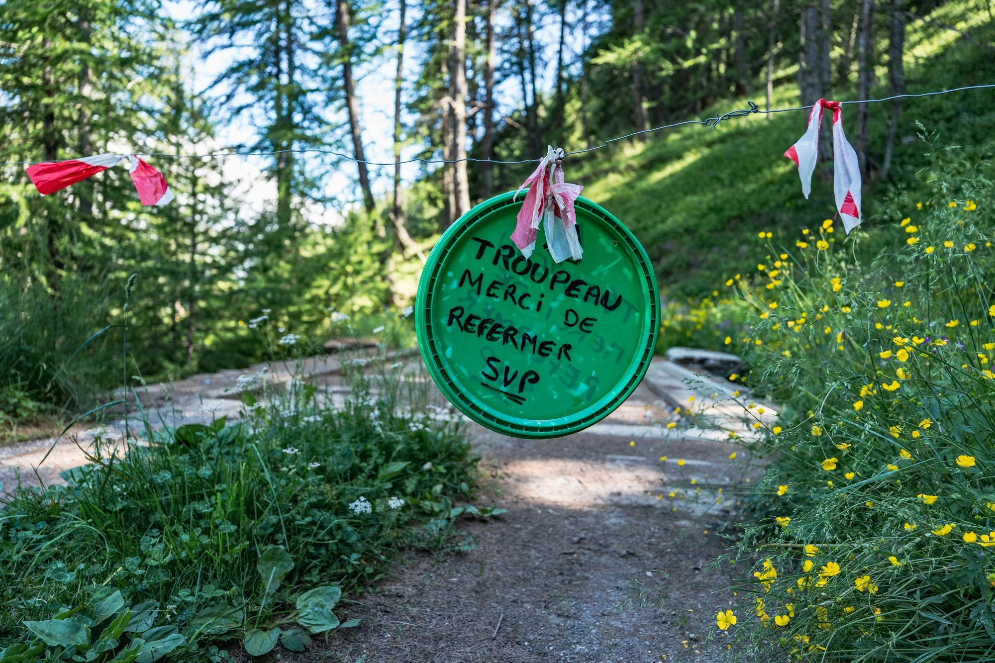 Le Pilgrimage - Col du Parpaillon-4.jpg