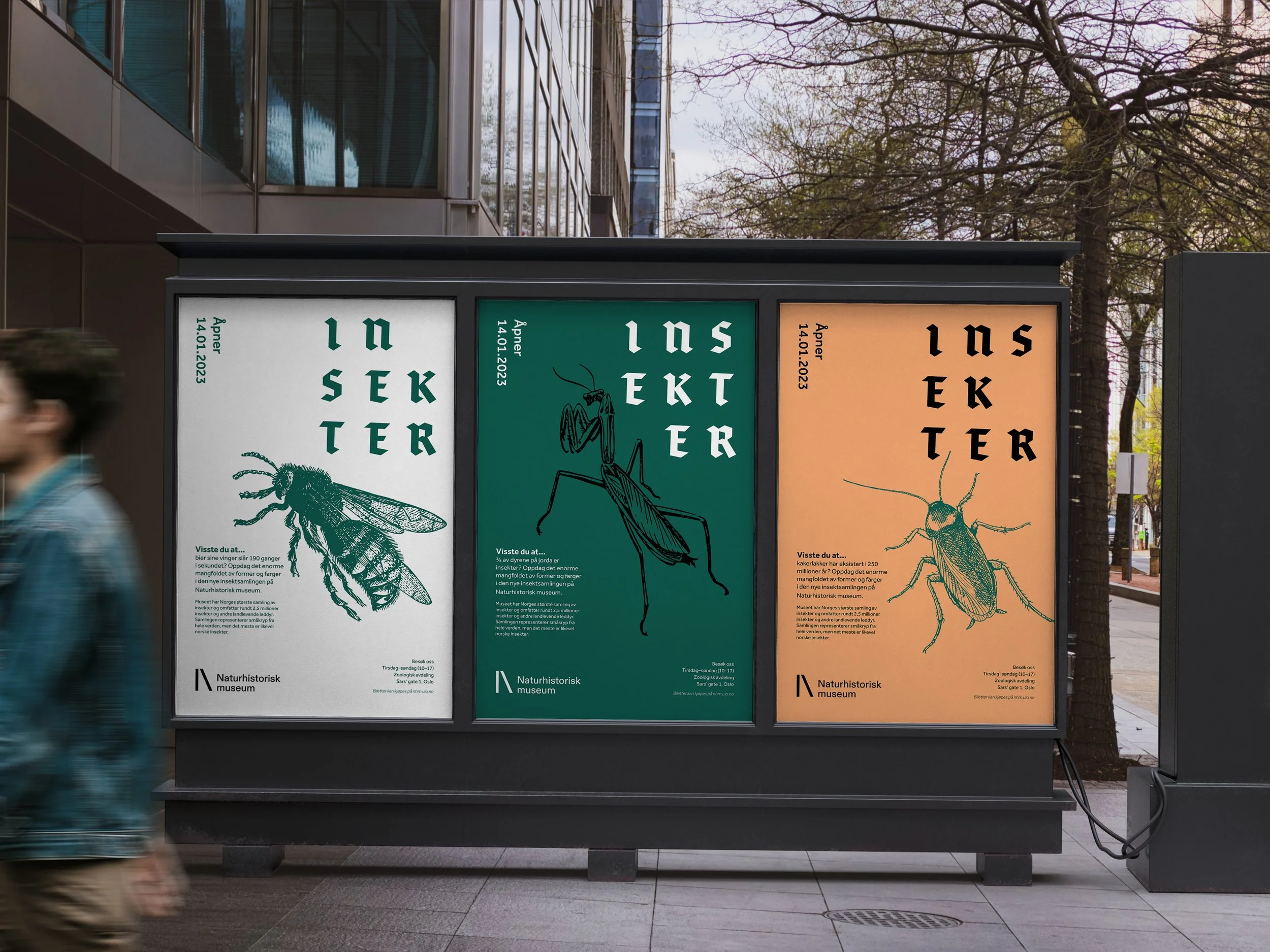 bilder til nettside 213.jpg