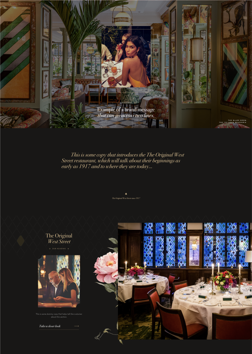 The Ivy Brand & Ivy Story Site Components