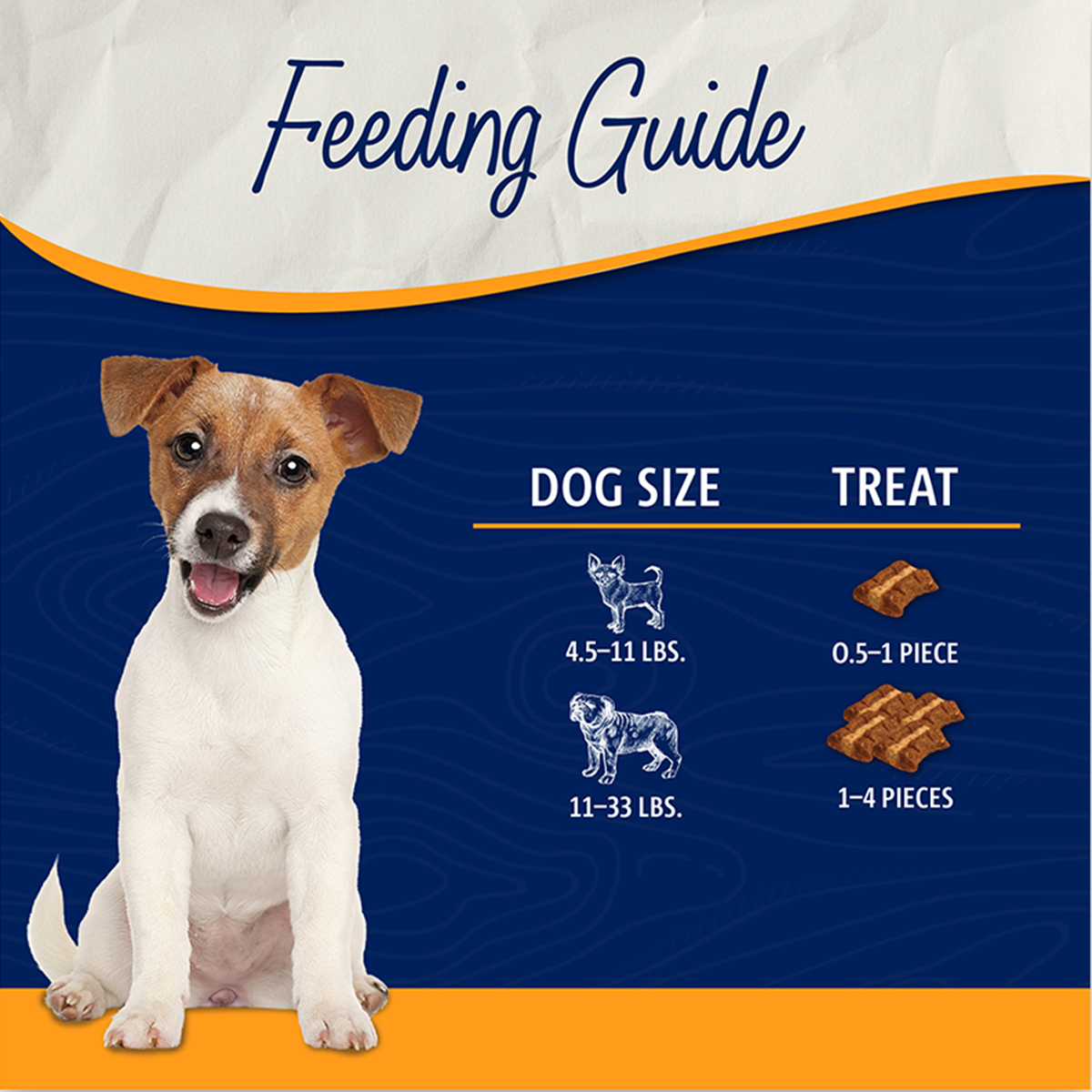 Artboard 1 copy 19-4.png