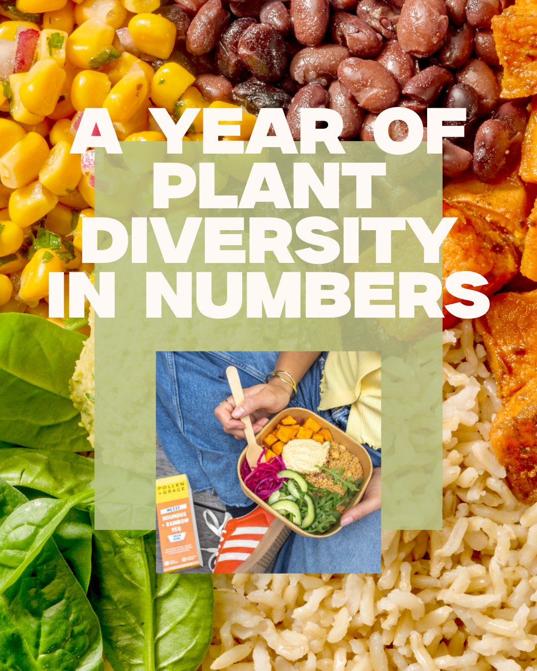 Move over Spotify, here&rsquo;s your Plant Diversity 2025 Wrapped! 🥬🍠 See the mountains of sweet potato, bath tubs of houmous, and hot air balloon loads of quinoa that went into our meals this year.