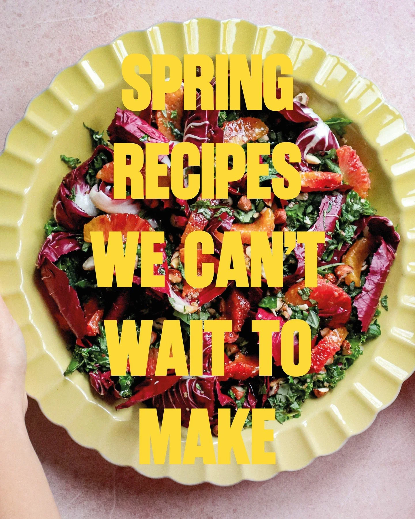 HAPPY SPRING EQUINOX to all who celebrate 🌸🪻🐝 We are armed and ready with a hit-list of delicious, seasonal spring-y salads we can't wait to make! ⁠
⁠
What are you most looking forward to cooking with this spring? Ours is a tie between jersey roya