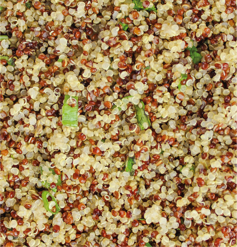 Korean Salad Bowl — Pollen + Grace