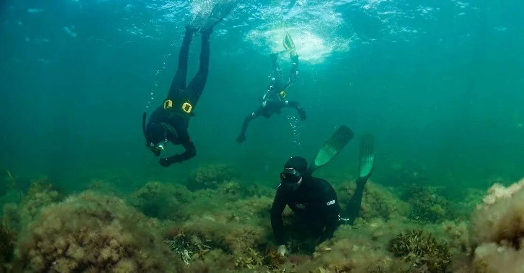 Undervandsnatur for alle