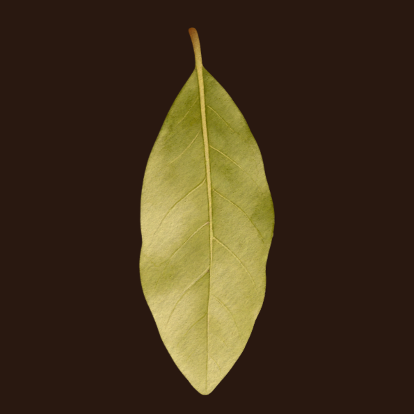 Autumn Harvest Dinner Ticket - 20 March 2026