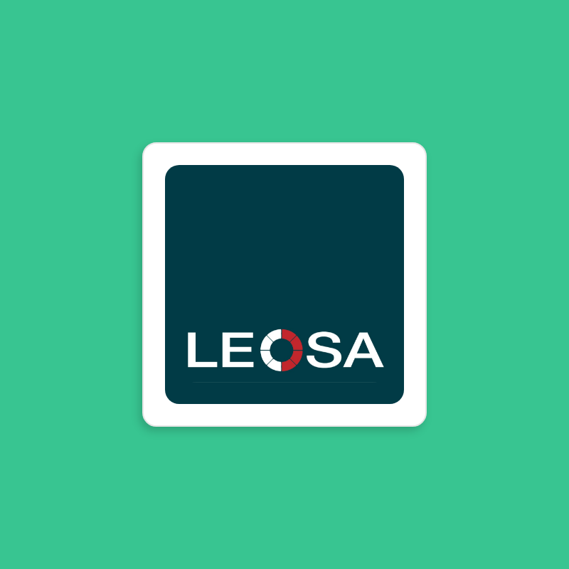 Leosa IT Services