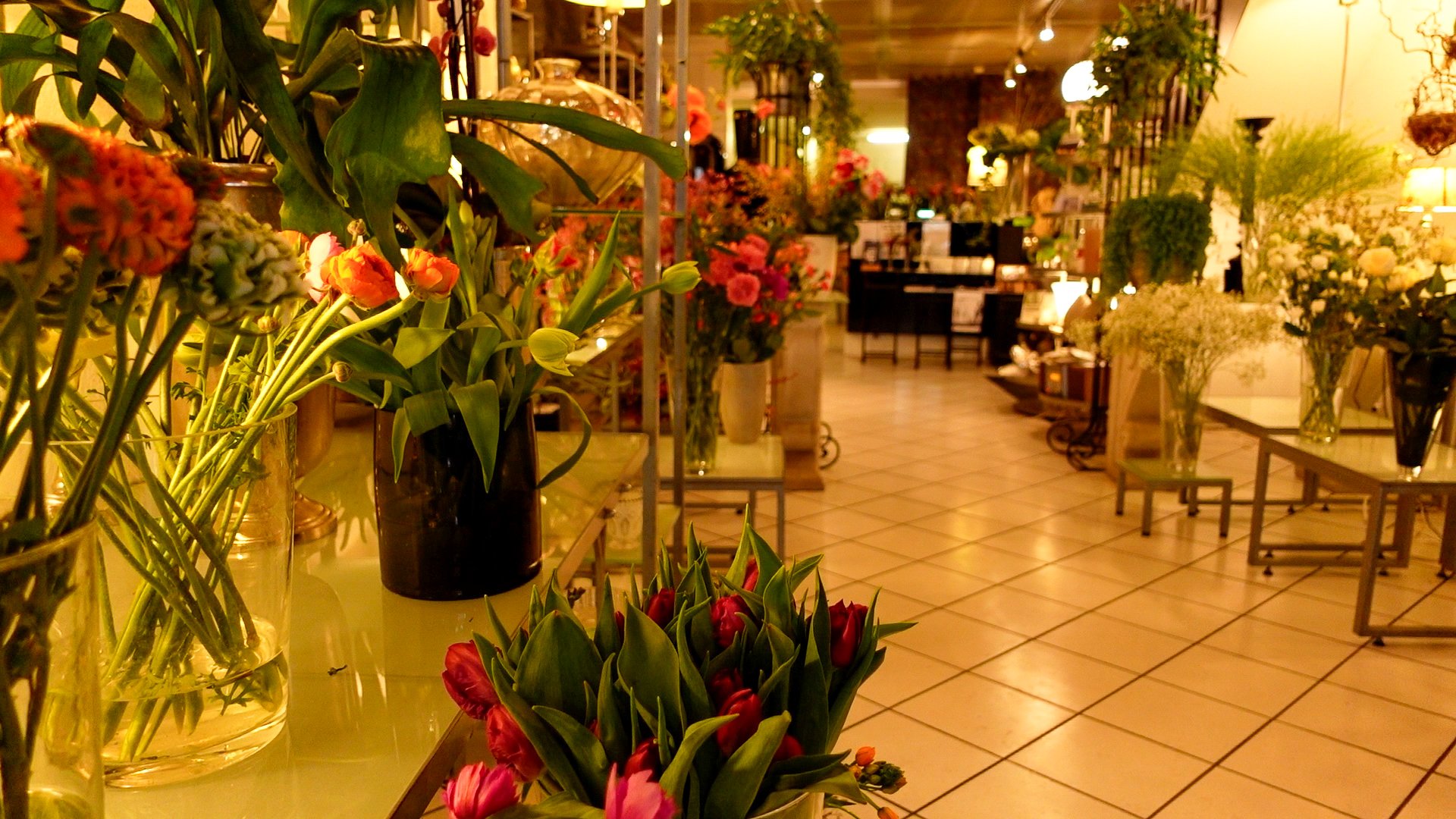  The atmosphere at Florist Ali is slightly oriental. 