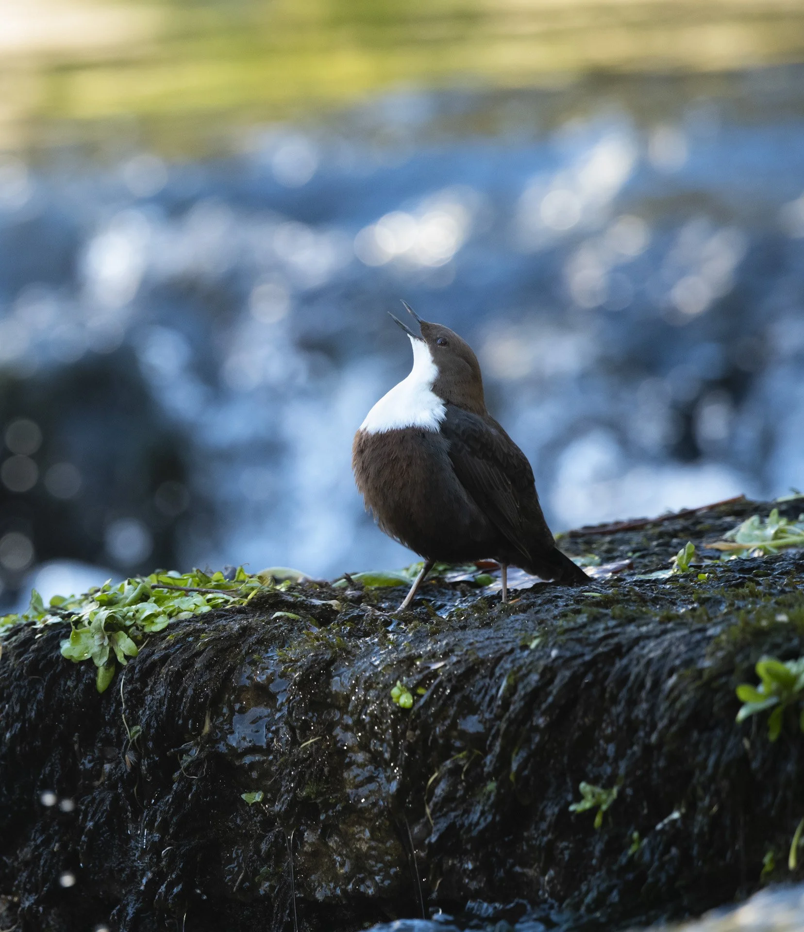 square-wonderful world.jpg