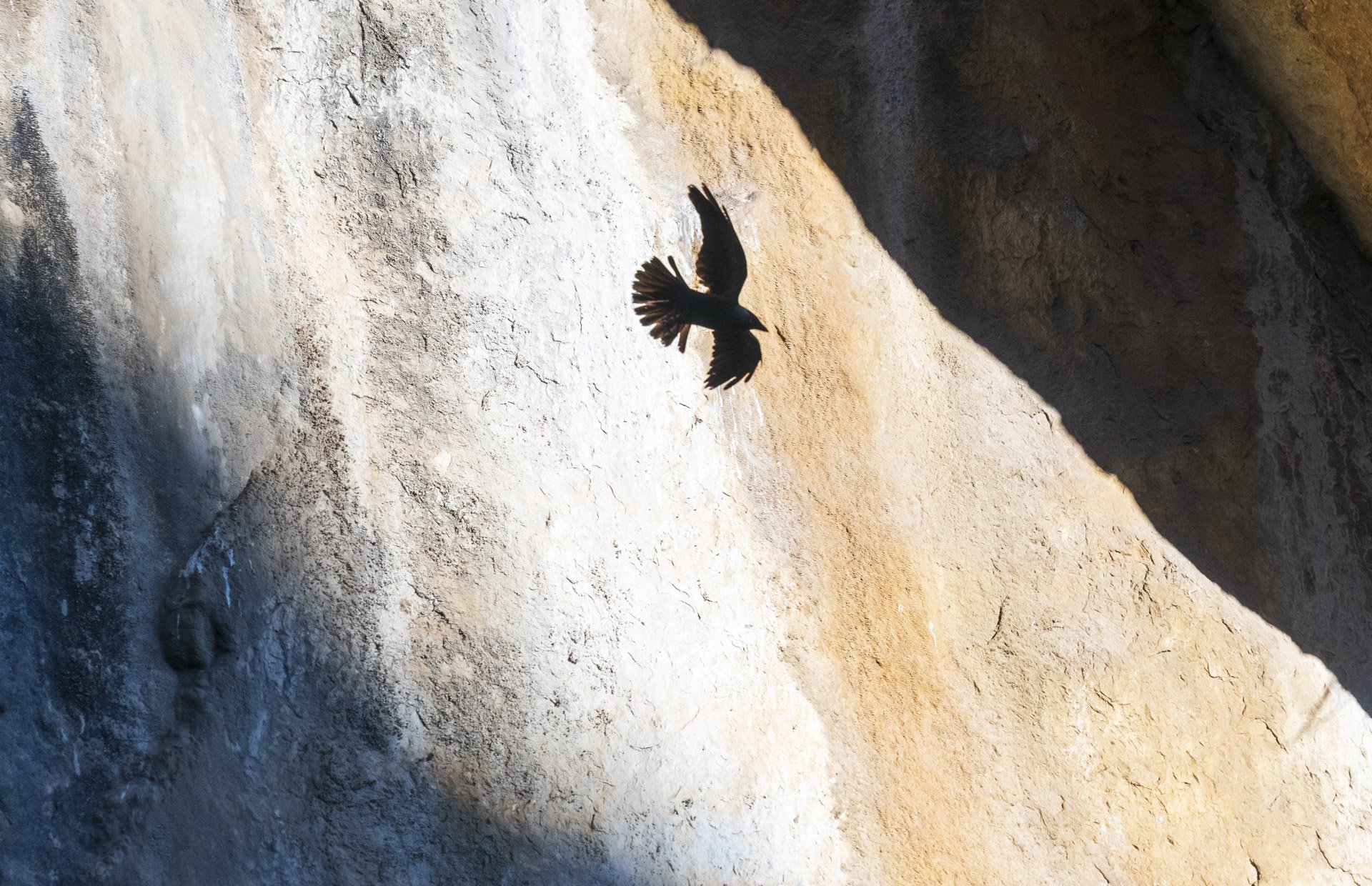 square-shadow flight path.jpg