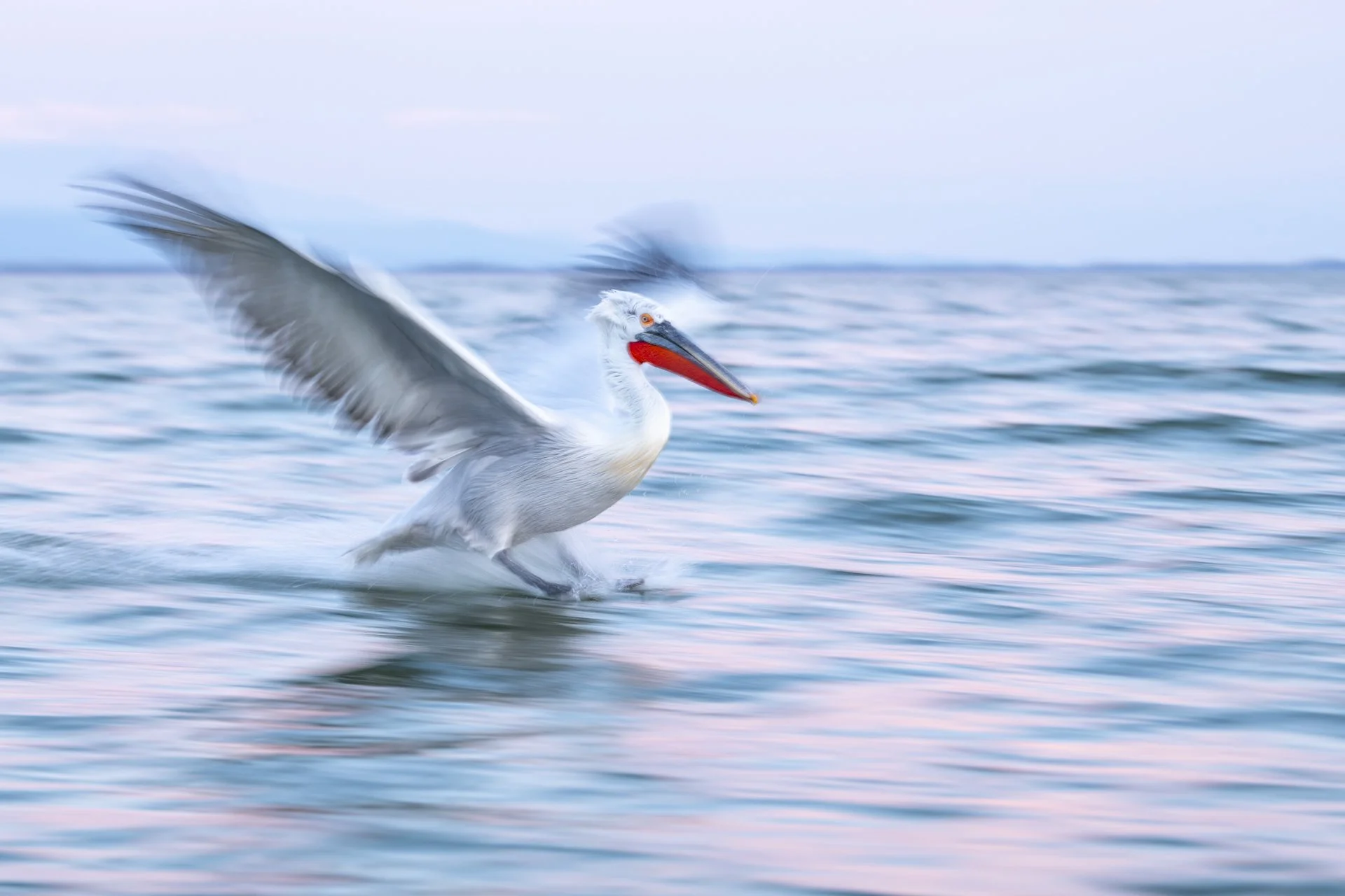 square-slow motion landing.jpg