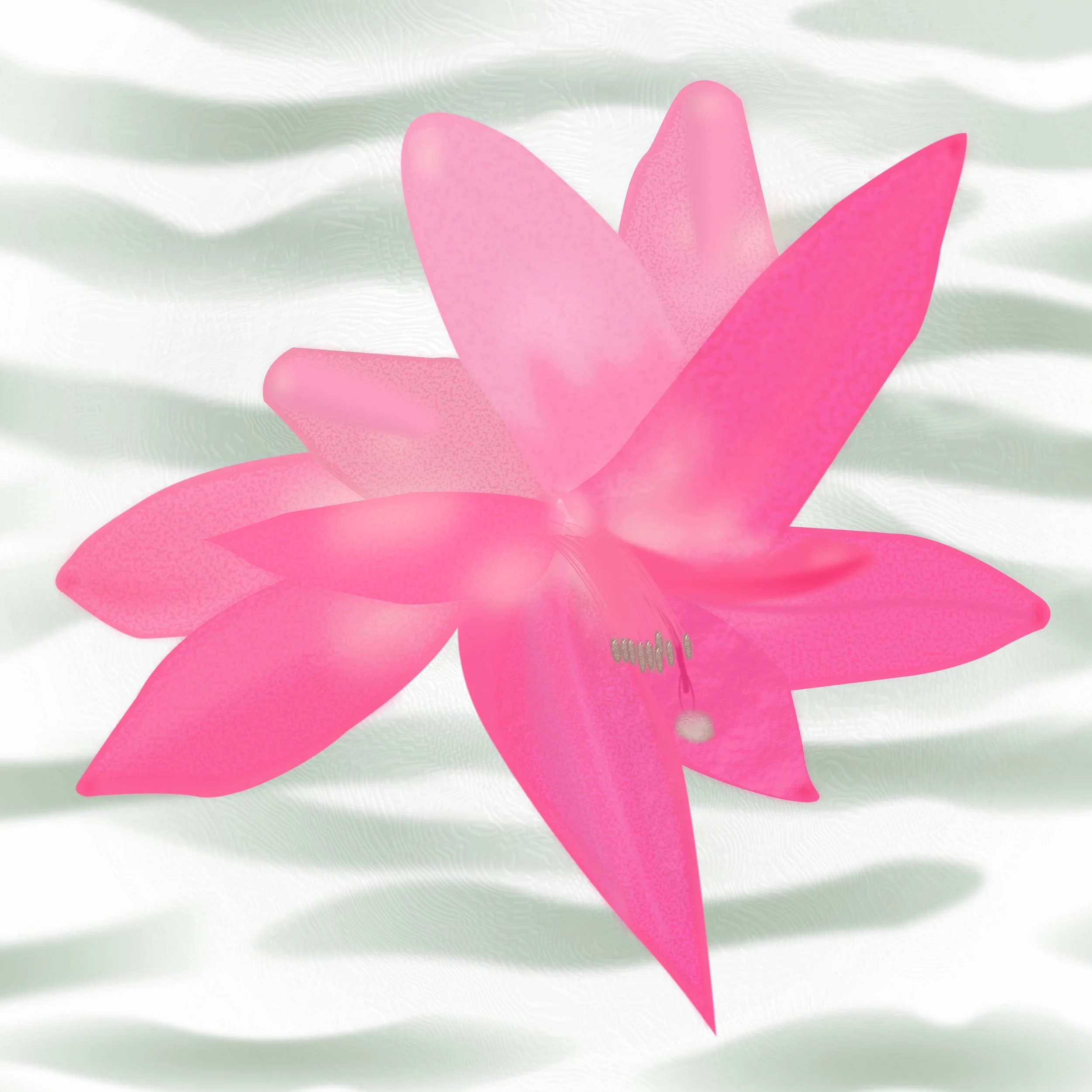 Cactus Flower footprint.jpg