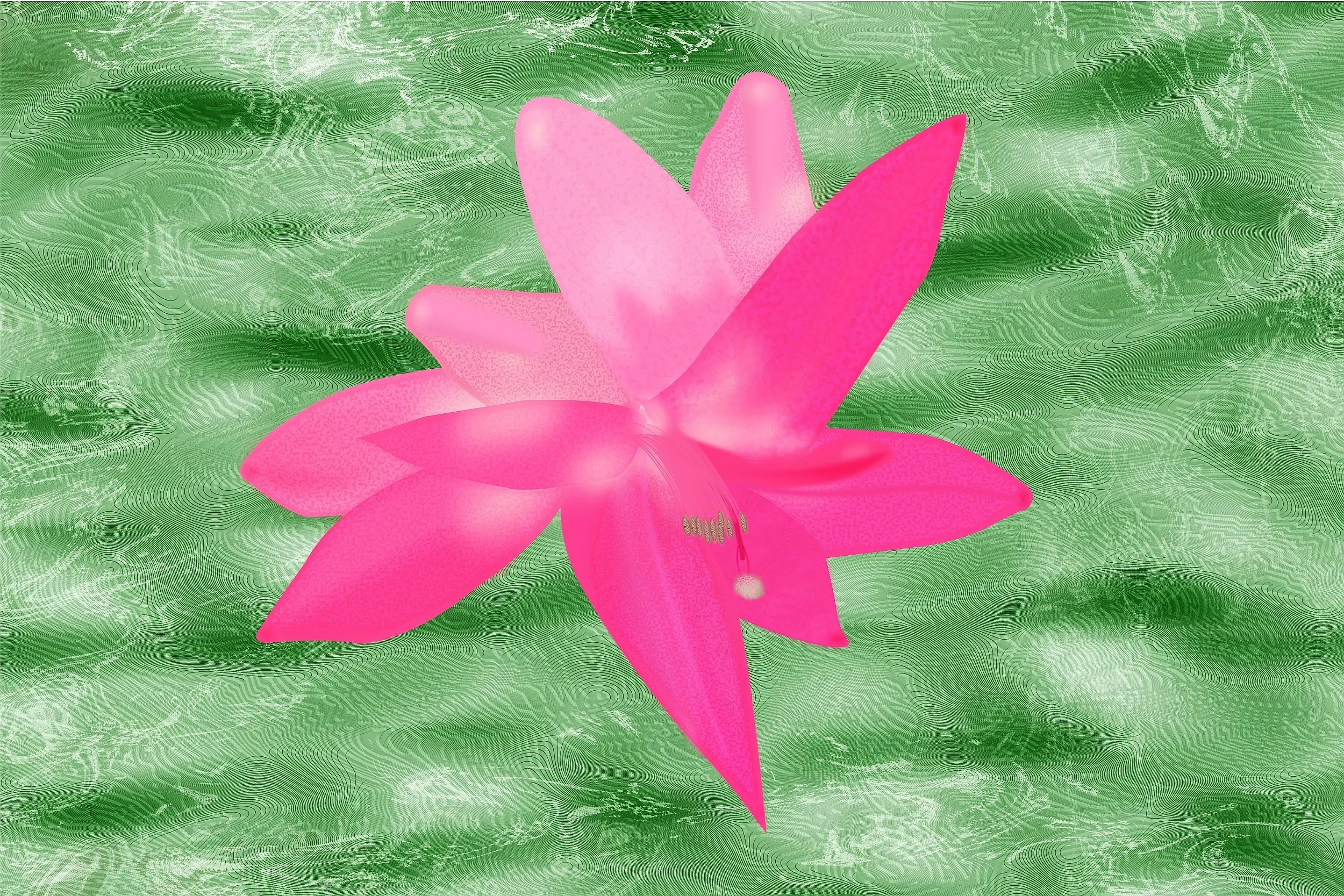 Cactus Flower - 36" wide x 24" tall