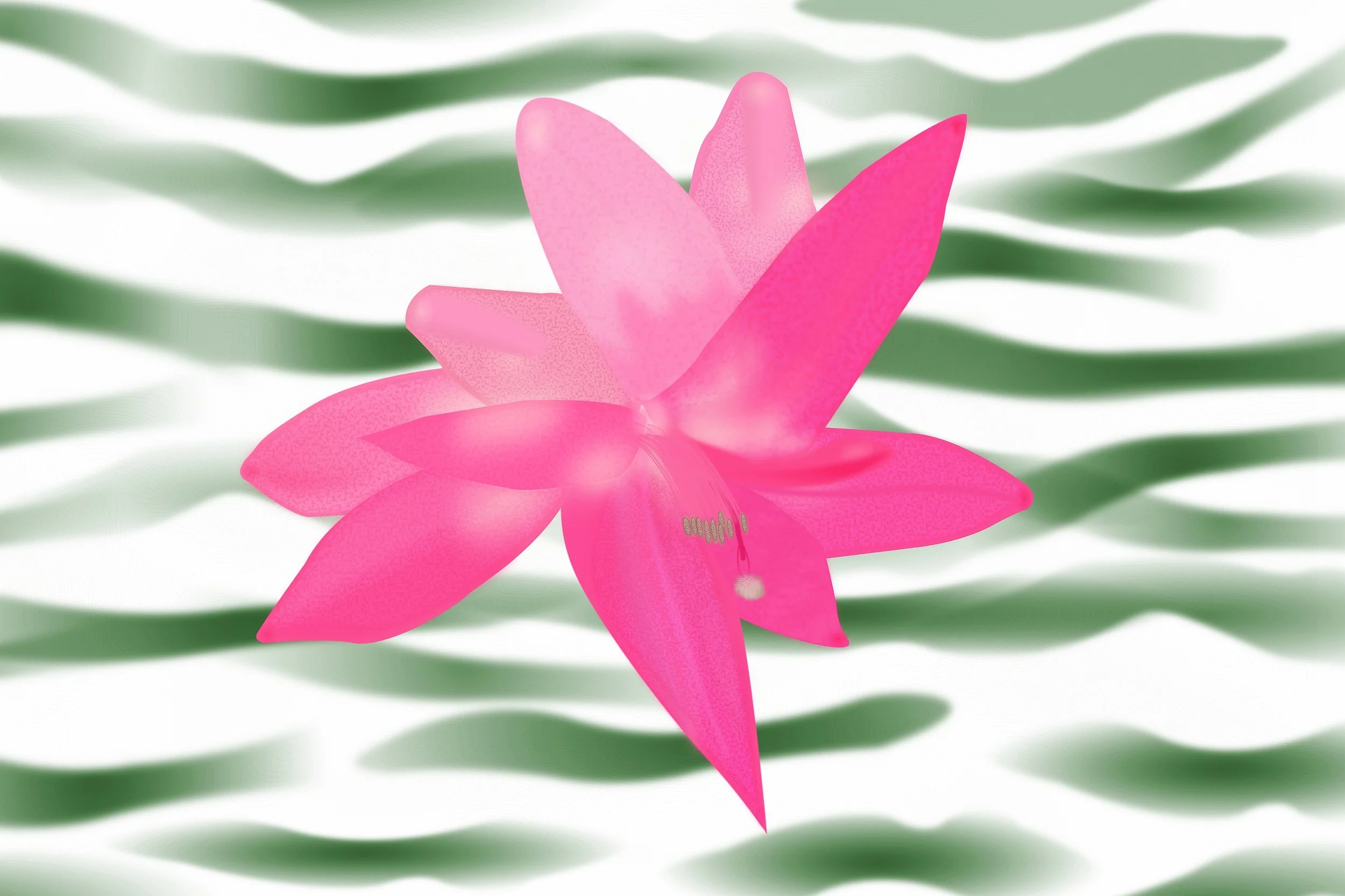 Cactus Flower - 36" wide x 24" tall