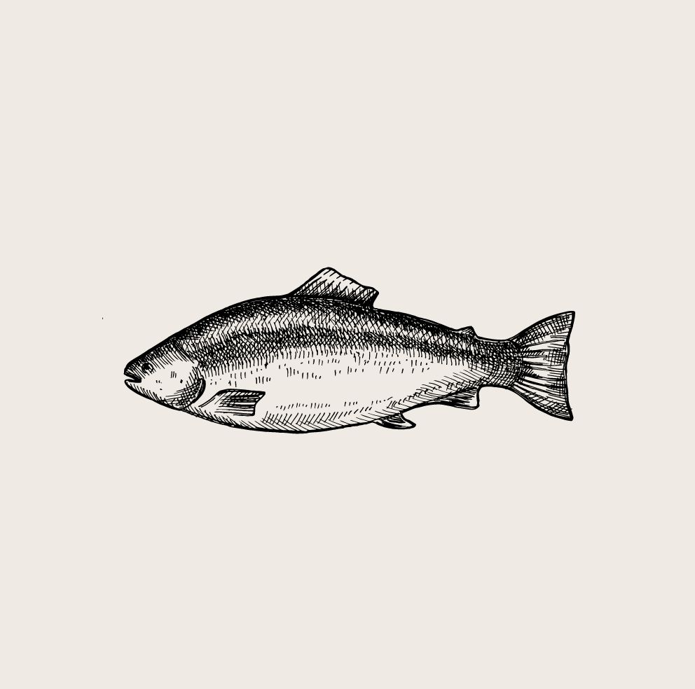 Fisch.png
