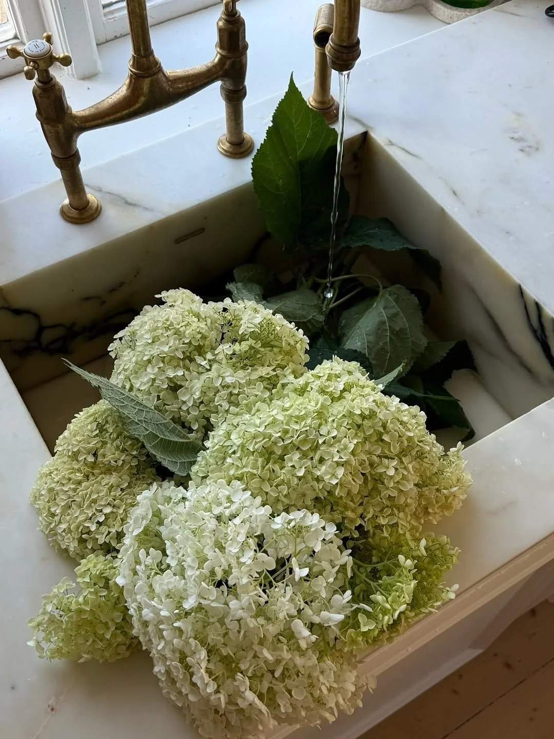 Irregular emails with impactful tips to improve the marketing strategies of your creative small business