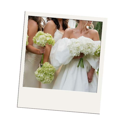 Bride and bridesmaids holding bouquets of white and green flowers at a wedding.