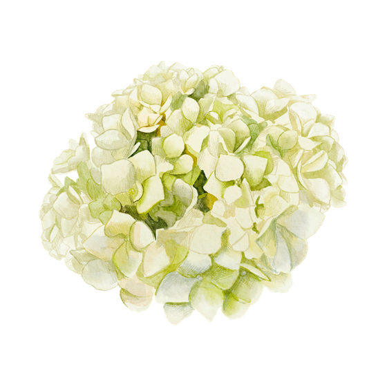 Coralee Creative | Brand Design and Copywriting for Interior Designers and Wedding Professionals across Australia