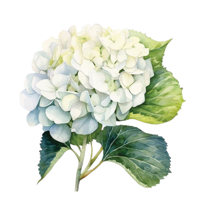 Coralee Creative | Brand Design and Copywriting for Interior Designers and Wedding Professionals across Australia
