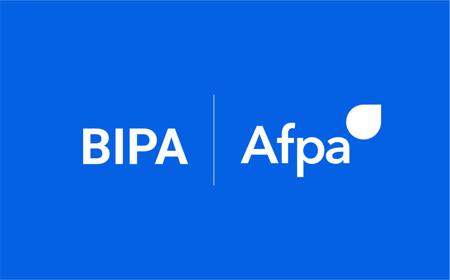 Afpa Bipa :
Comment créer une culture projet commune ?
