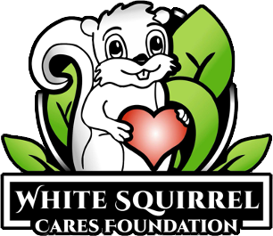 white-squirrel-gives-logo-transparent-cropped.webp