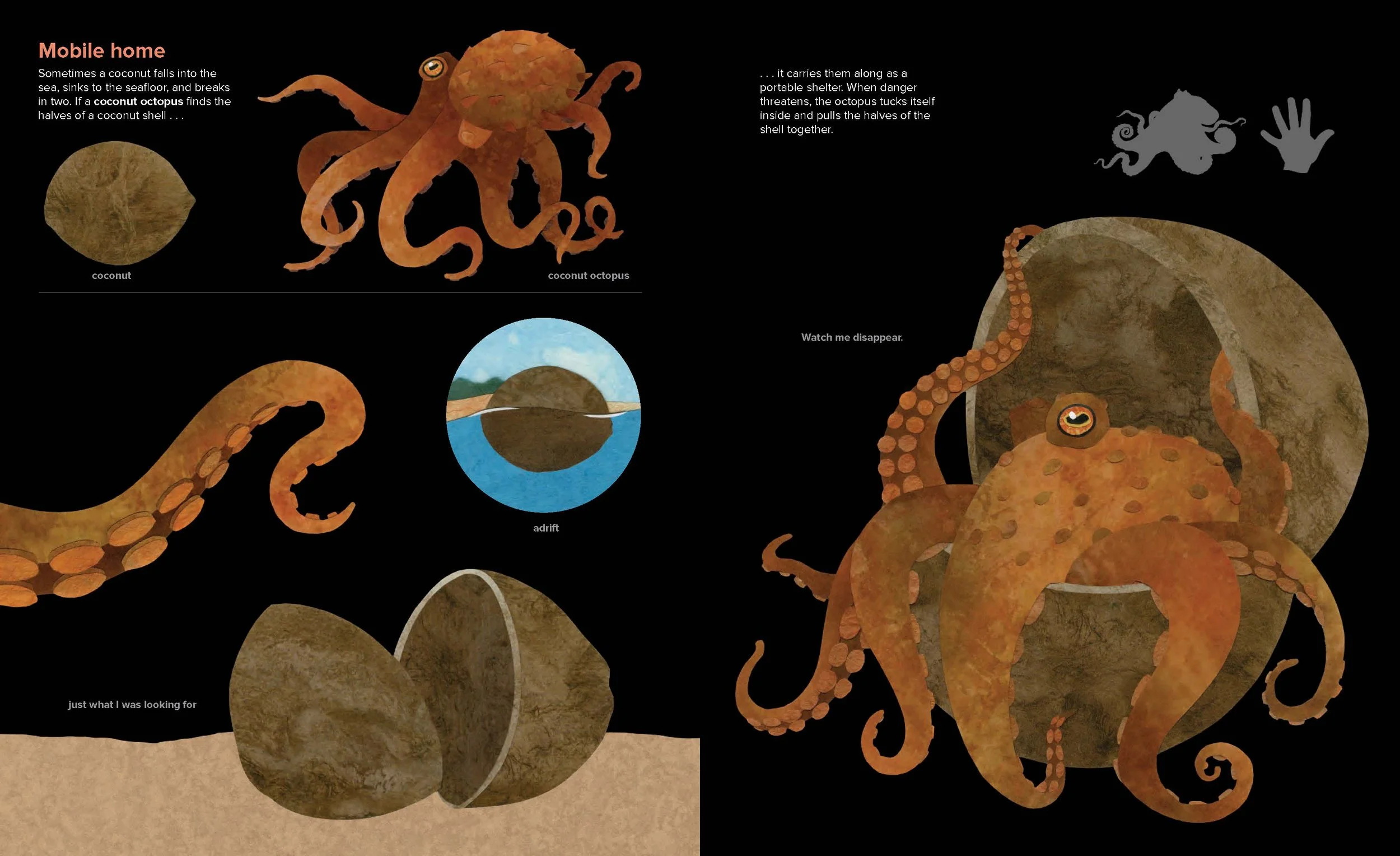 the-animal-toolkit-whitty-design
