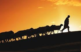 The Lord Leads His Church    Acts 15:36 - 16:15